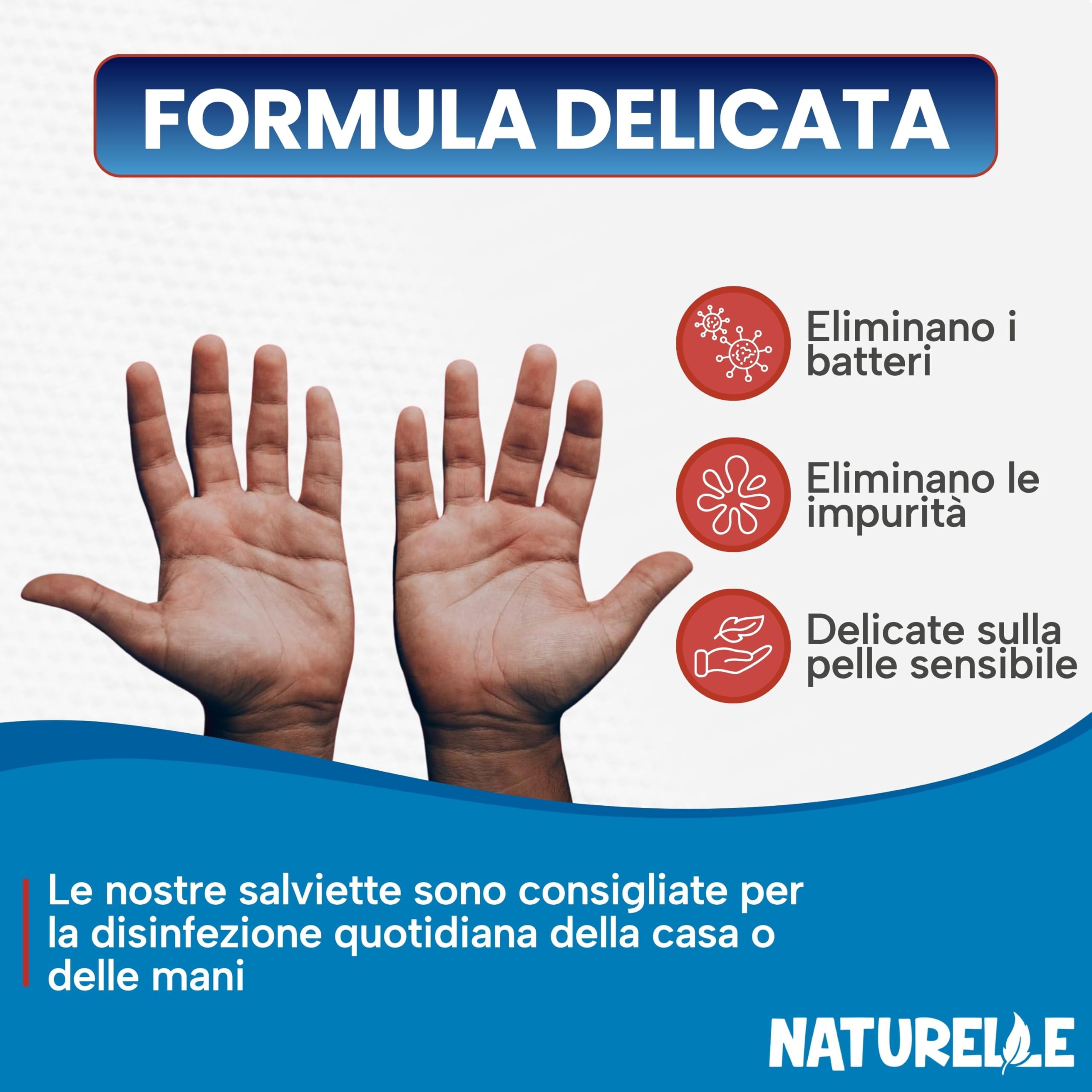 Naturelle Salviettine umidificate antibatteriche - Reti per superfici e mani, 1440 salviette (12 confezioni da 120)