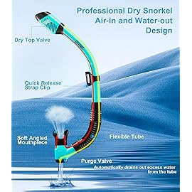 Aegend 2 Pack Snorkeling Gear for Adults, Dry Snorkel Set Panoramic View Enhanced Anti-Leak and Anti-Fog Technology, Adjustable Strap for Snorkeling Scuba Diving Swimming with Mesh Bag