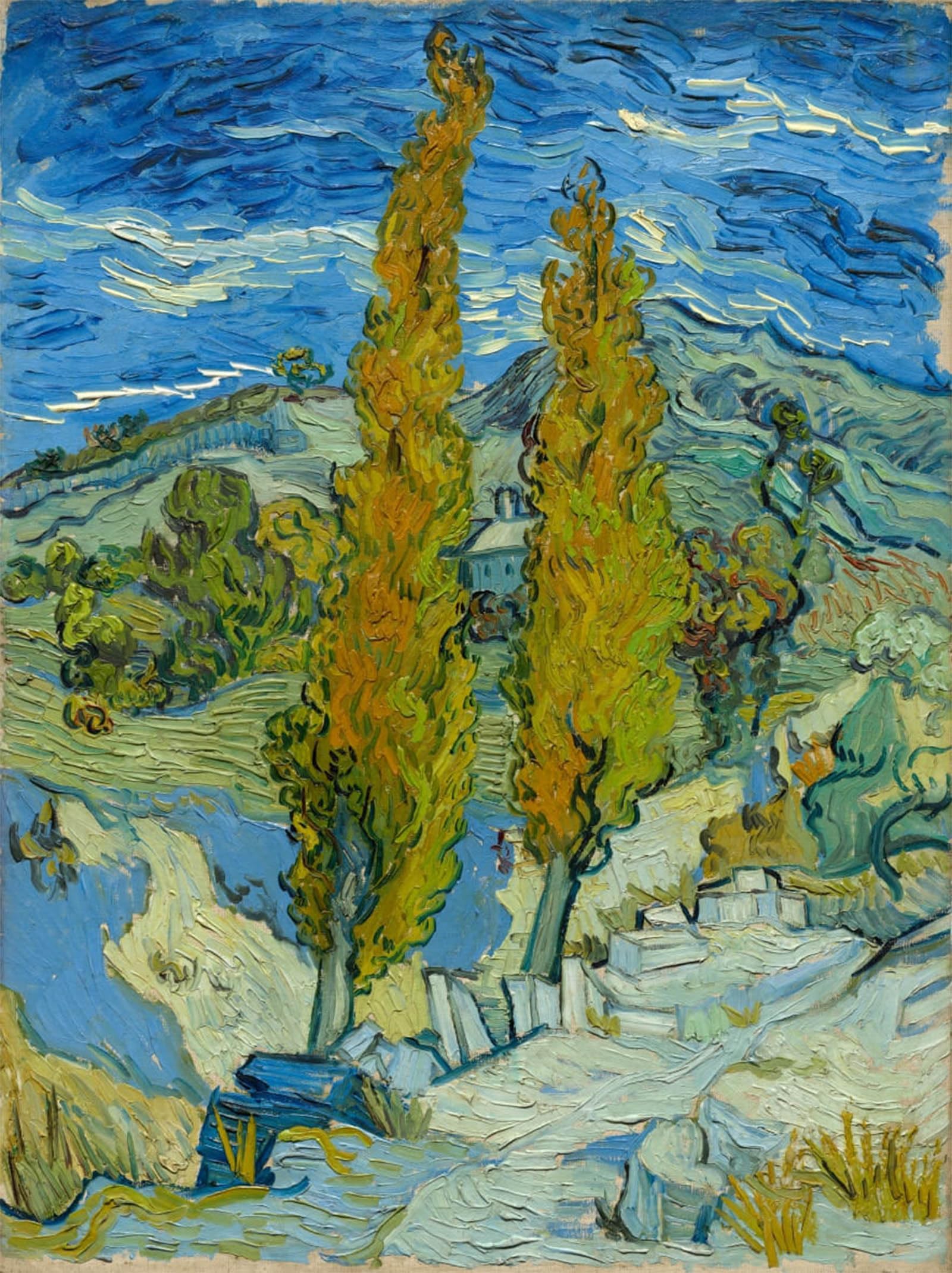 Affiche impression toile Deux peupliers Alpilles 60x90