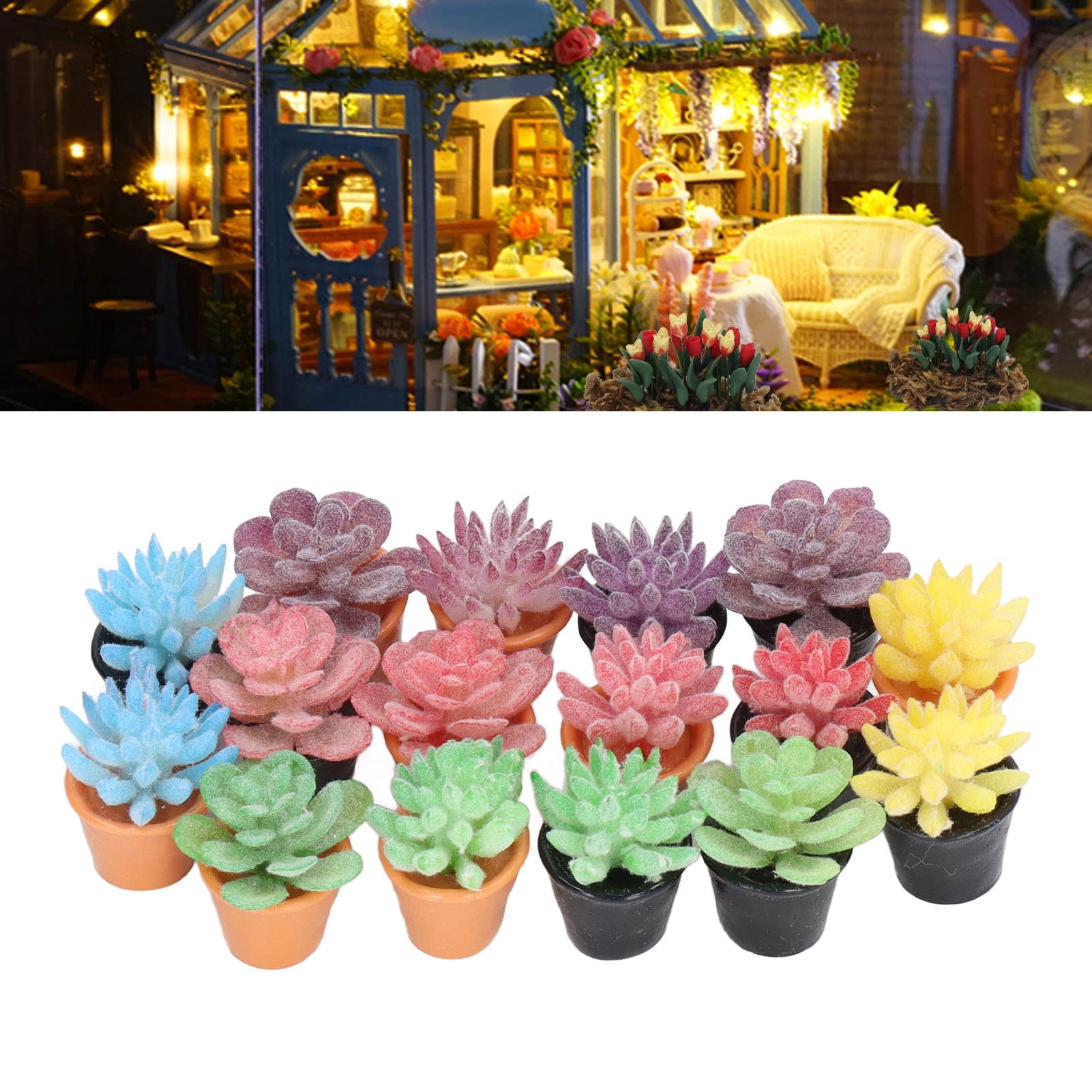 Amazon.co.jp: ドールハウス鉢植え 16点セット カラフルな多肉植物