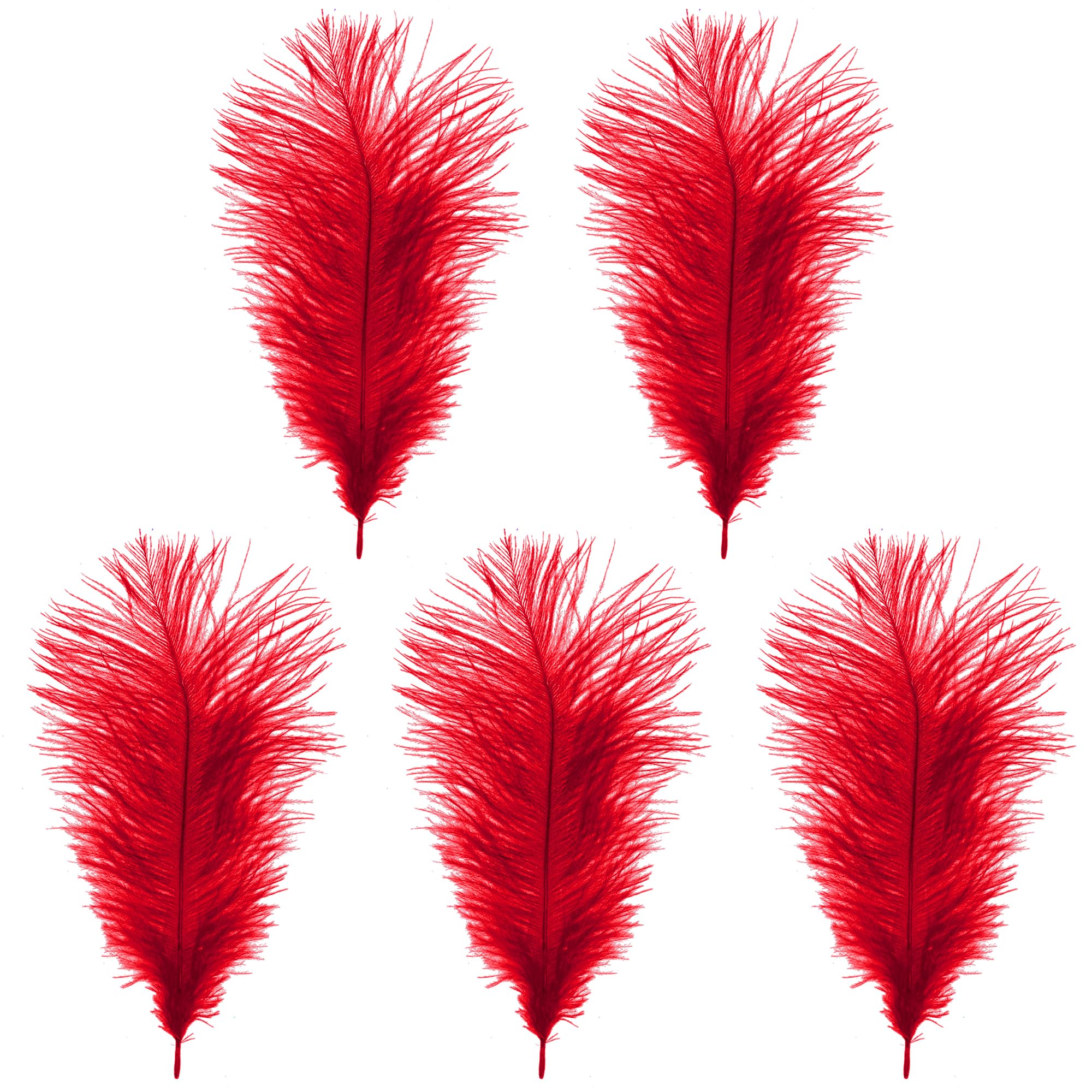 WedDecor Red Natural Ostrich Feathers 14-16" (35-40cm) Long for Wedding Centerpieces, Home, Decorating Costumes, Embellishment, Art & Craft, Parties (Pack of 5)
