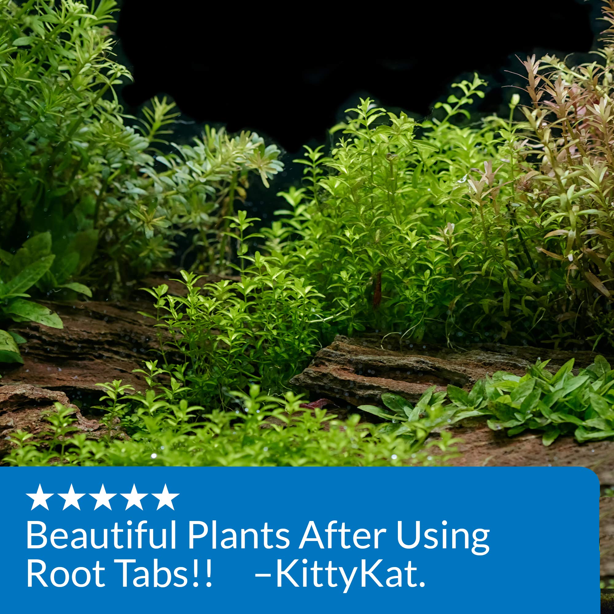 API ROOT TABS Freshwater Aquarium Plant Fertilizer 0.4Ounce 10Count