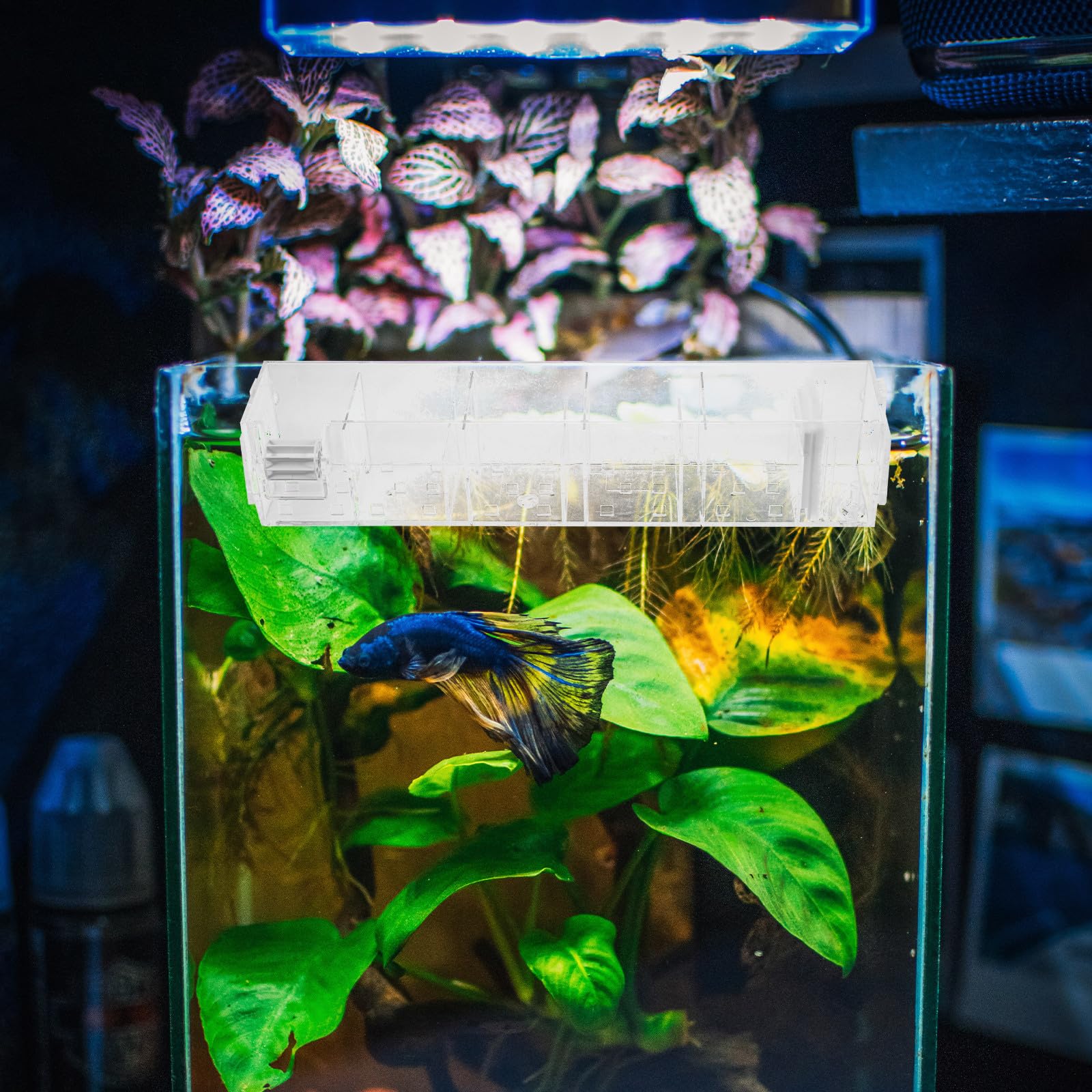 Acryl Hängende Tropfbox für Aquarien mit Wasserpumpe