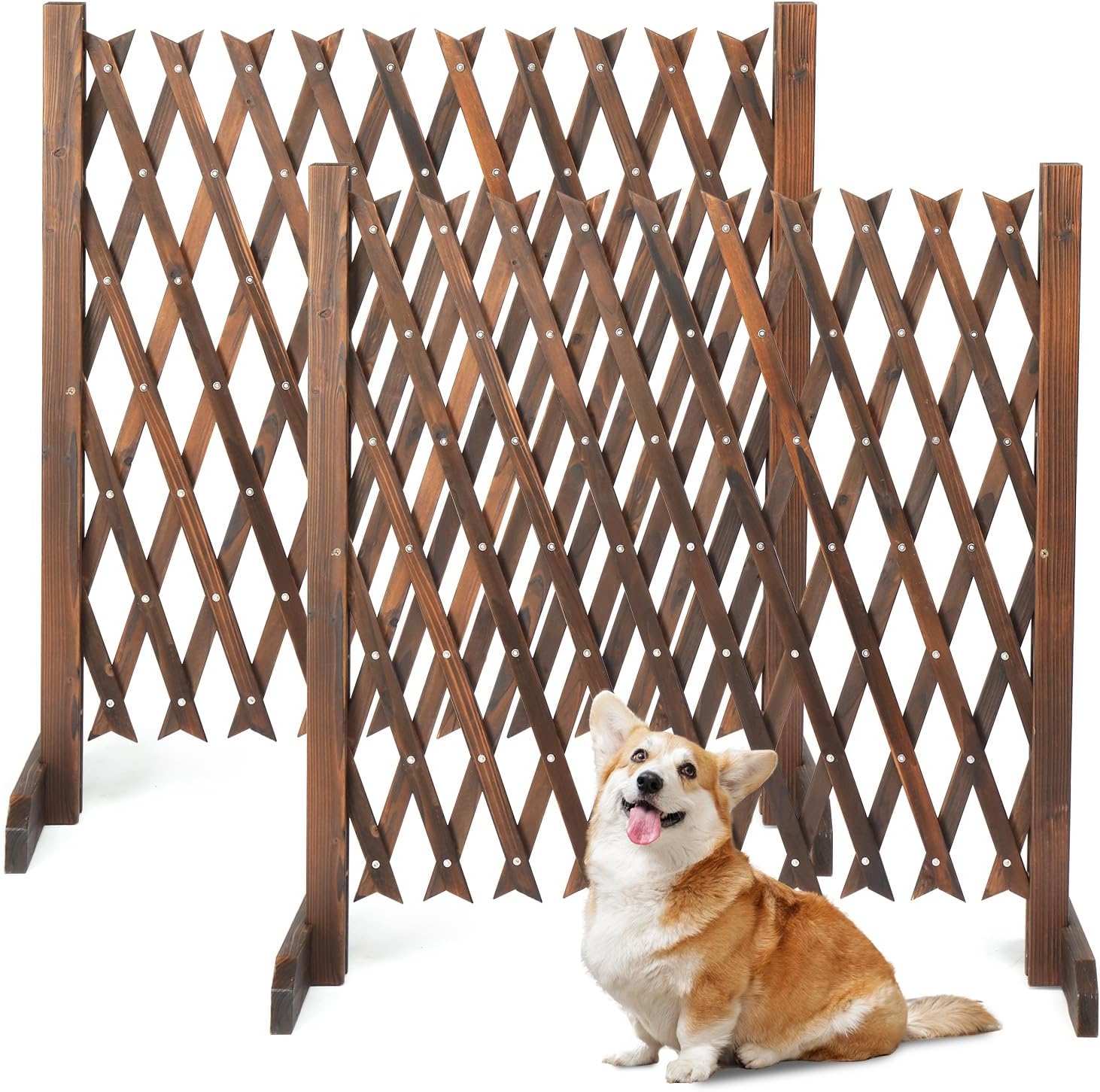 VINGLI 2 Packs Extendable Garden Fence, 27.55 Inch Tall Freestanding Accordion Fence Solid Wood Retractable Trellis Instant Fence Pet Grate for Home Patio Yard Garden (Carbonized Wood)
