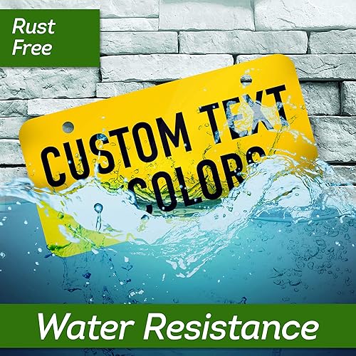 Vista 7 de Mini matrículas personalizadas, placa personalizada para bicicletas, cuatrimoto, coche de niños, bicicleta para niños, carrito de golf, carros