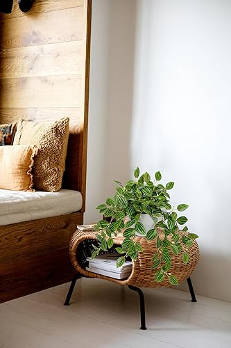 Miniatura 5 de Briful Plantas Artificiales de Interior Plantas de Seda Falsas en Maceta Plantas Sintéticas de Peperomia Sandía Colgante para Decoración de Hogar