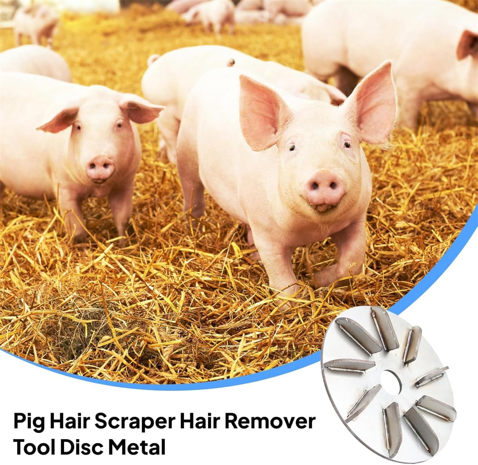 Lot de 3 disques pour enlever les poils de porc - Outil d'épilation de cochon en métal - Pour atelier familial, poule, mouton, bétail, porc, boucher