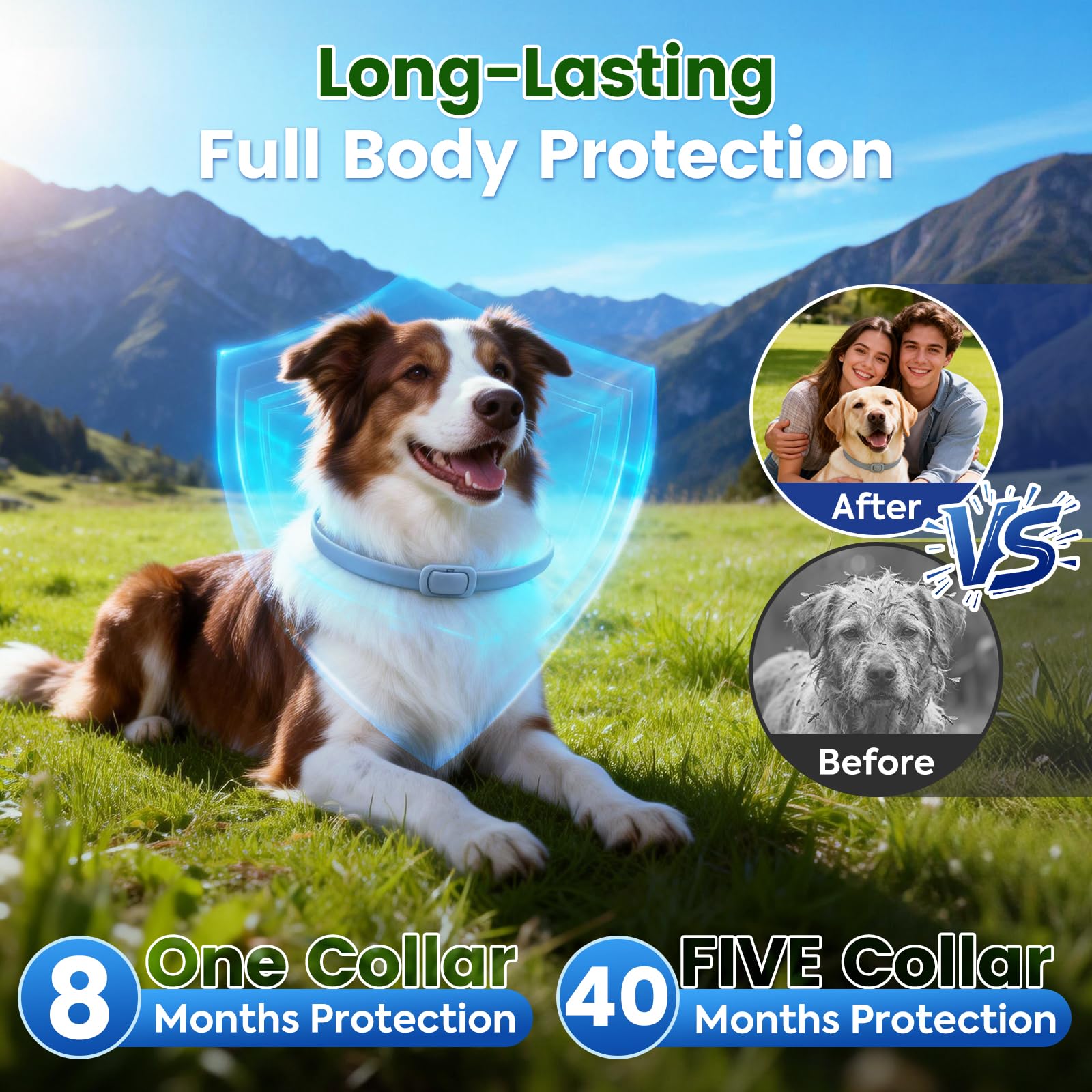 KOOSA Flea and Tick Collar for Dogs, 5 Packs Flea Collar for Dogs with Natural Essential Oils, Waterproof & Adjustable Flea and Tick Prevention Collar for Small Medium Large Dogs & Puppies, Grey 01 - 3