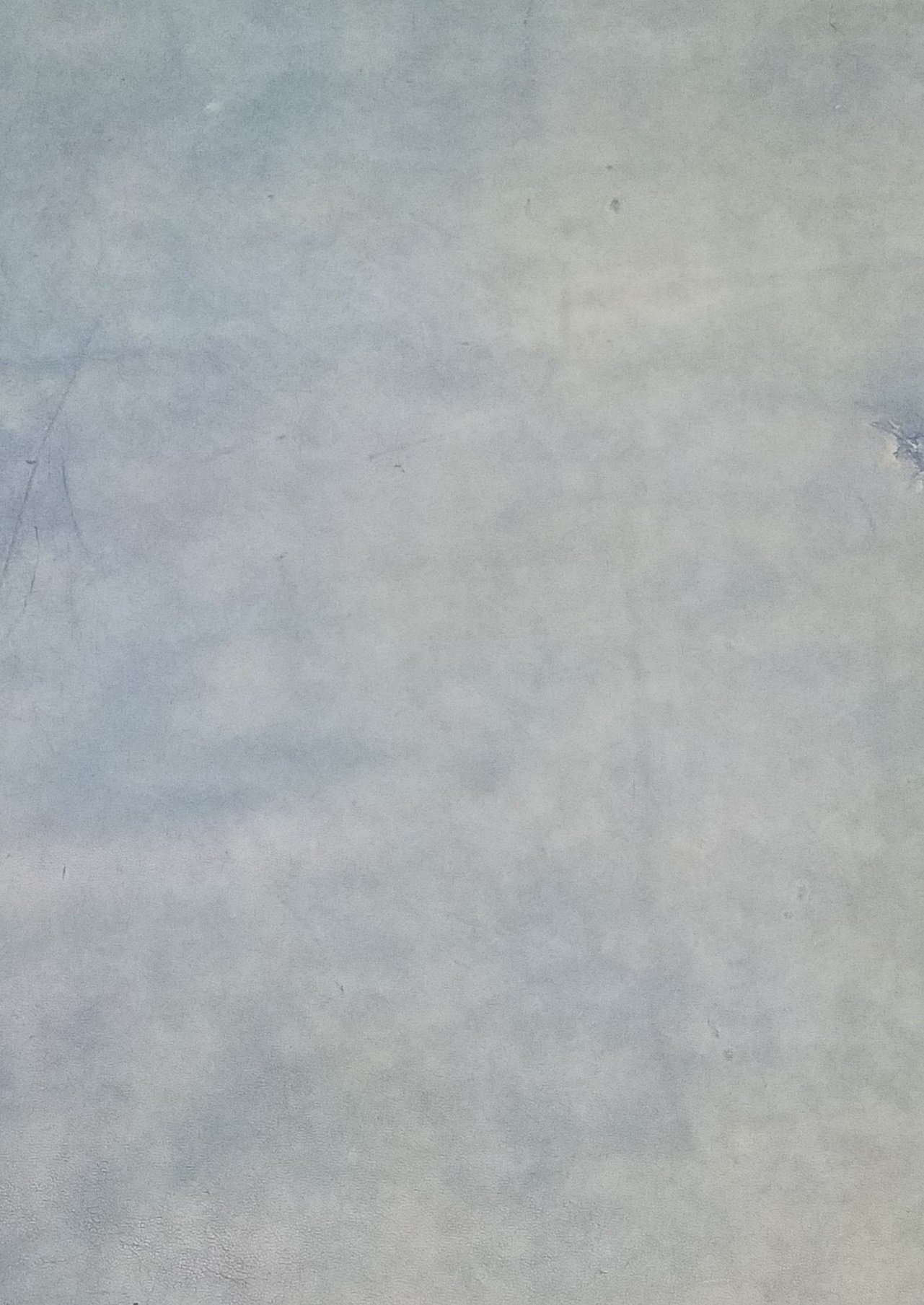 Peacock Denim Blue 20