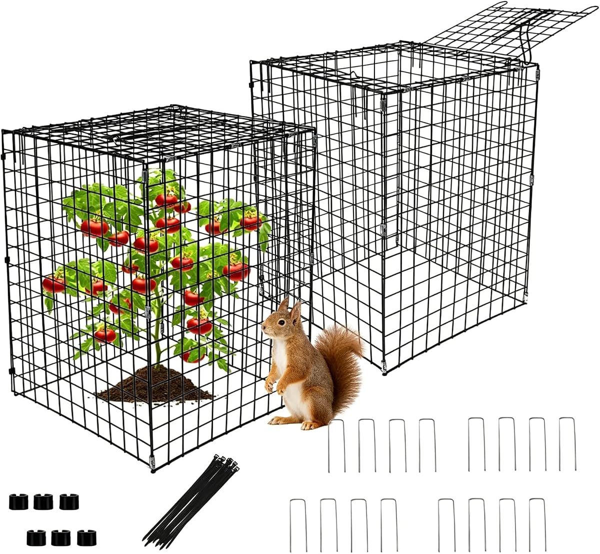 Metal Plant Cages for Outdoor Plants