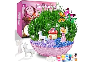 Catcrafter Fairy Garden Kit for Kids