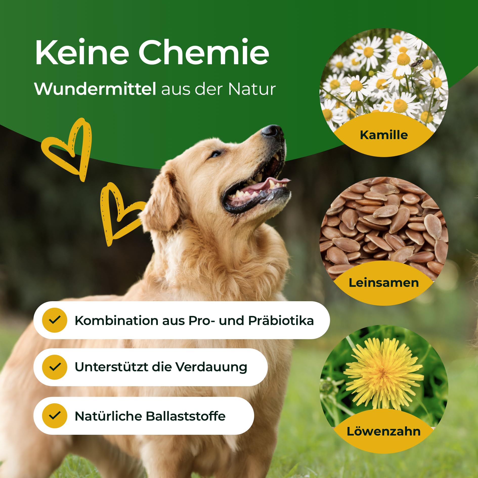 Verdauungsglück 300g - Zusatzfutter - Pellets für Hunde - Präbiotika & Probiotika Pellets - Stabilisierung der Physiologischen Verdauung