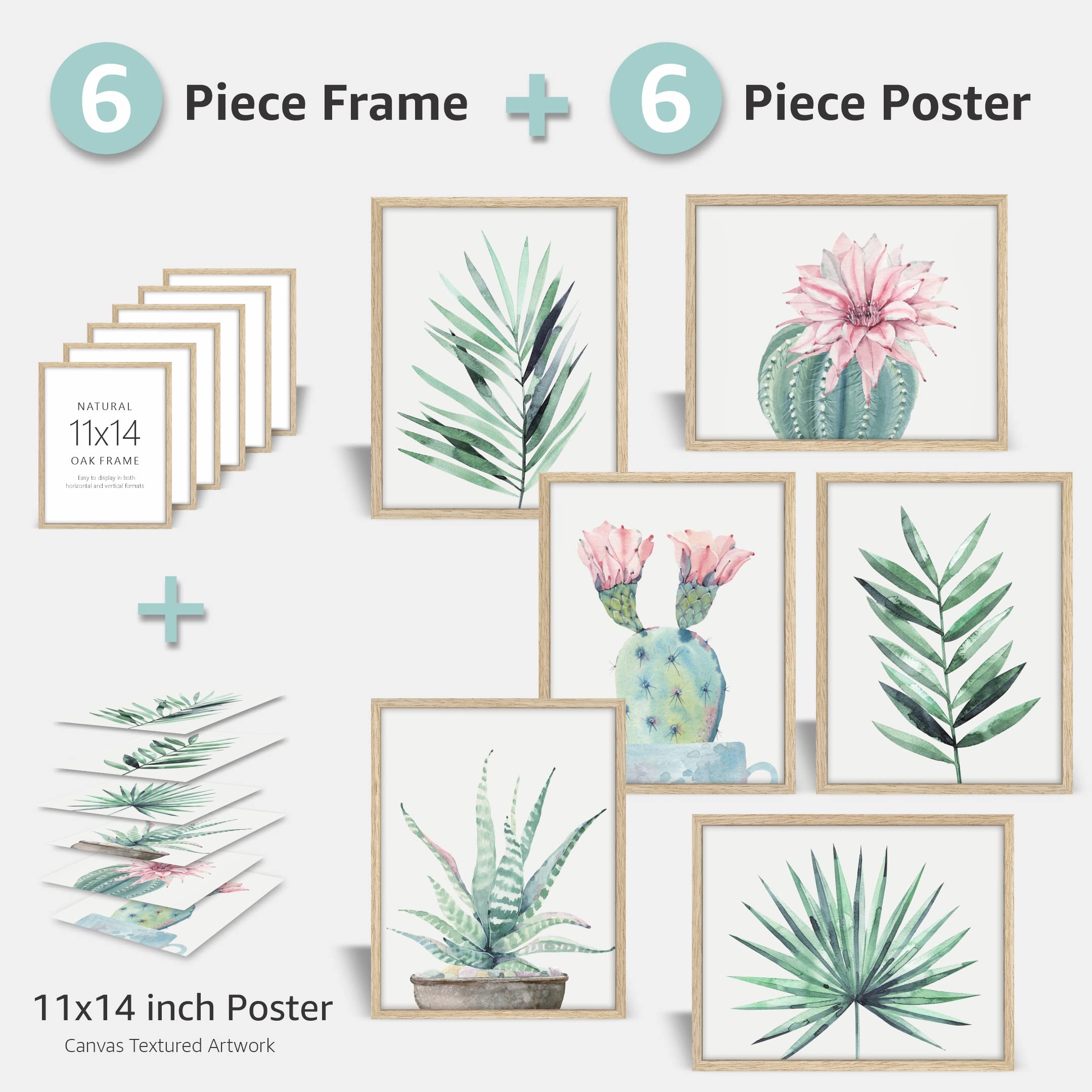 Amazon.com - SIGNWIN 11