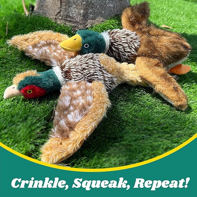 2 Juguetes para Perros Pato Mallard con Chirrido miniatura 6