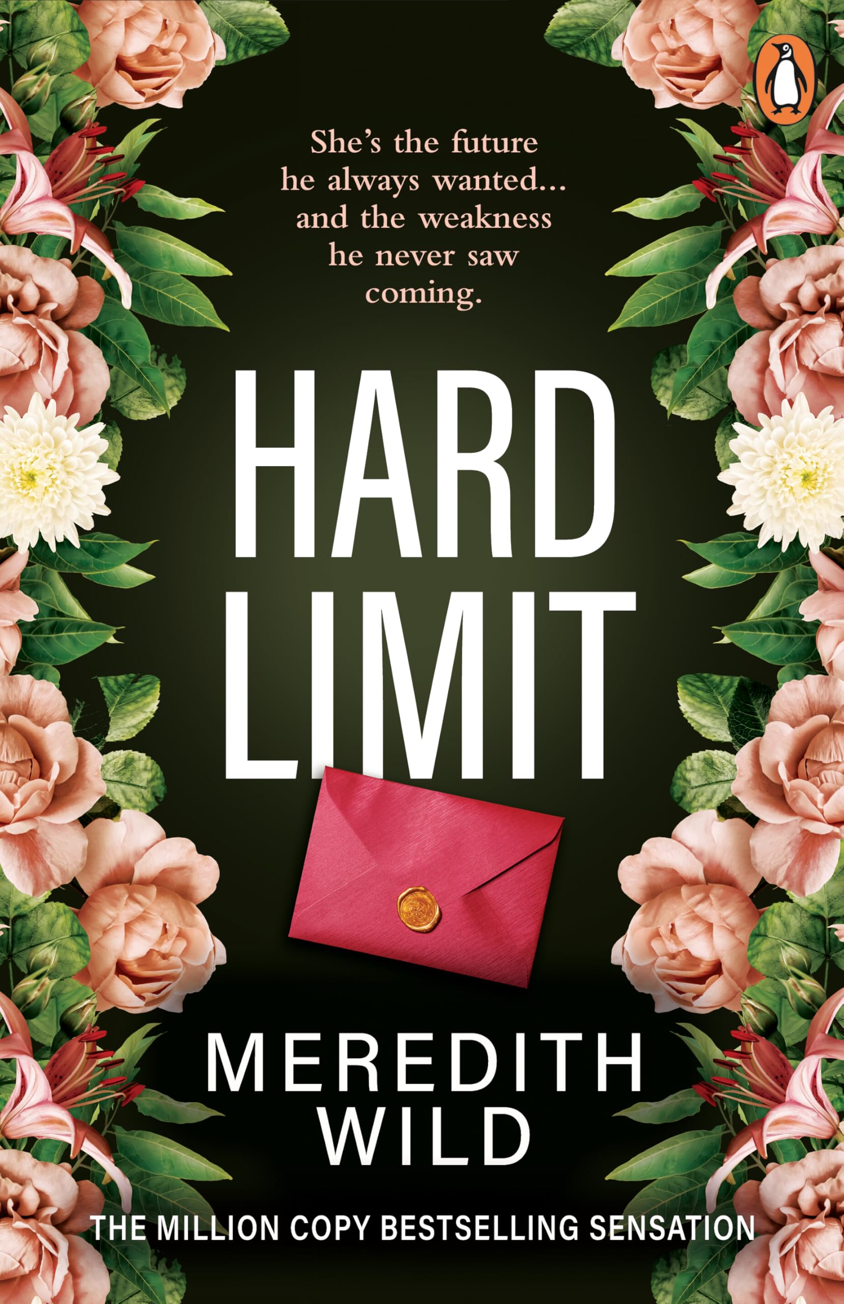 Hard Limit: (The Hacker Series Book 4): the million-copy bestselling billionaire dark romance sensation