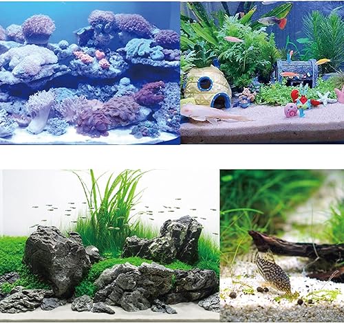 Miniatura 6 de Avalution Suculentas de grava blanca de 0.236 a 0.315 pulgadas y cactus bonsái, proyectos de bricolaje, rocas, plantas de ónix blanco, rocas para