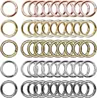 小物 WILDSWANS   ROUND CARABINER KEY RING WILDSWANS ワイルドスワンズ round key ring Sサイズ Mサイズ