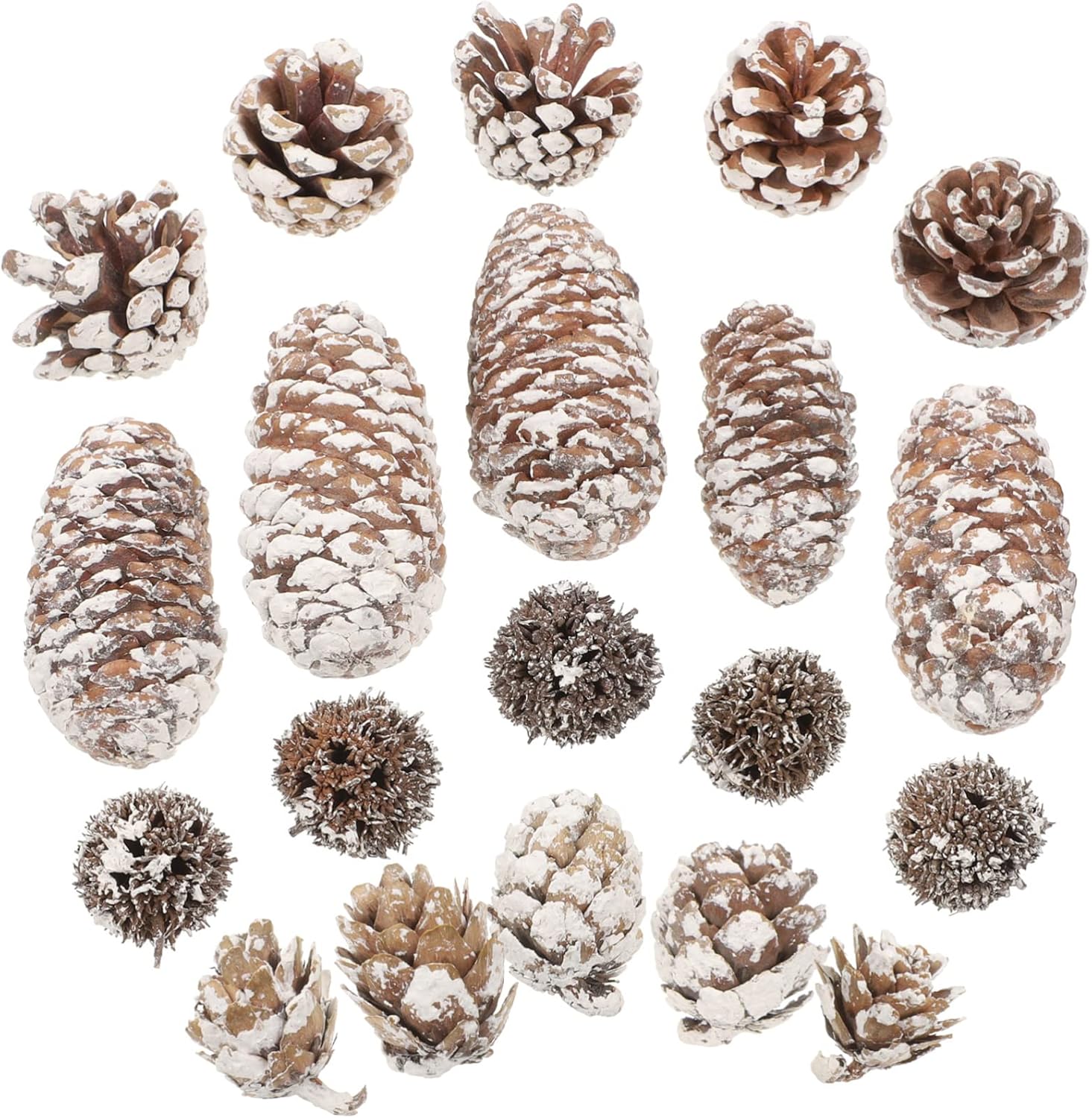 Gadpiparty 4sets Dried Pine Kit for Christmas Decoration Crafts Material for Creative Projects for Home Photography Props Holiday Arrangements