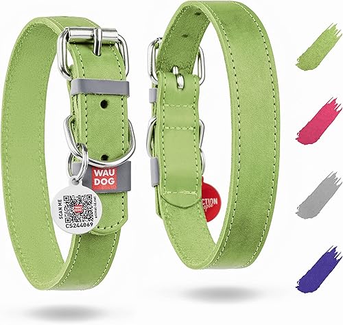 WAUDOG Collar de cuero de larga duración para perros grandes, medianos y pequeños Collares clásicos ajustables para cachorros de raza grande
