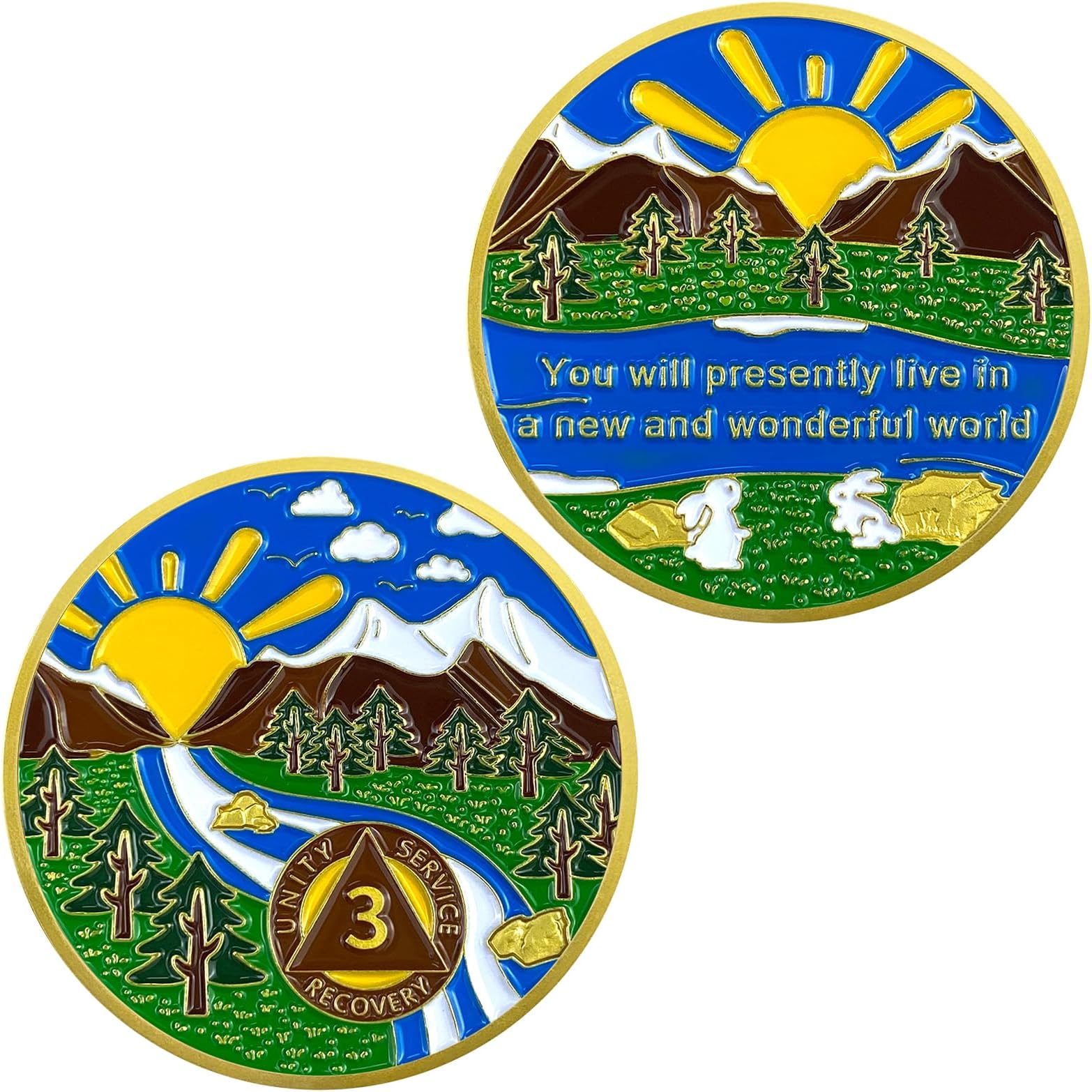 3 Year Sobriety Chip, Forest Sun AA Chips and Medallions - Sober Anniversary AA Recovery Medallion Chip,Sobriety Gifts for Alcoholics Anonymous Recovery