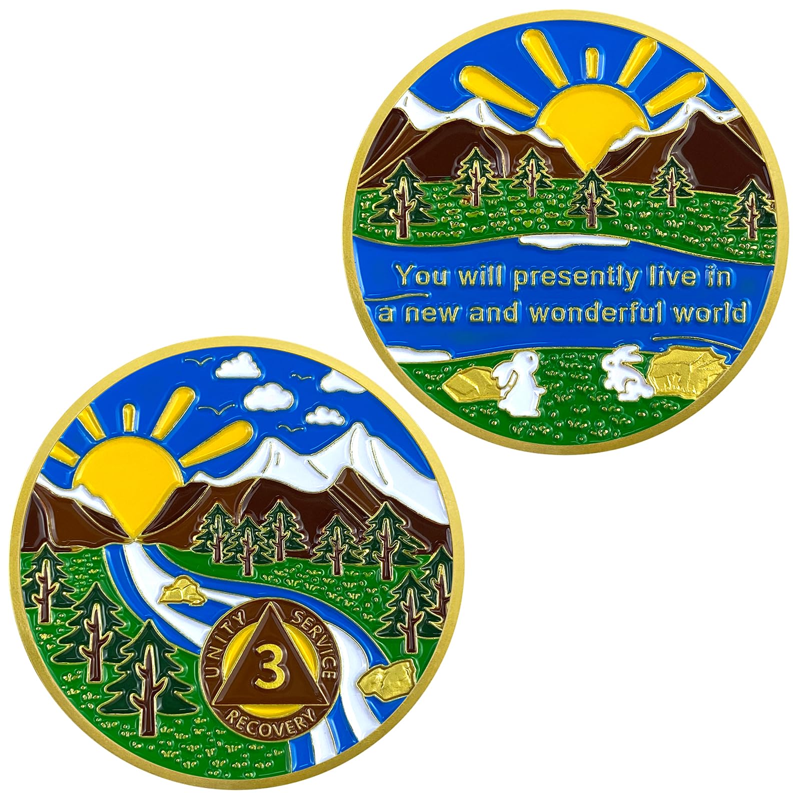 3 Year Sobriety Chip, Forest Sun AA Chips and Medallions - Sober Anniversary AA Recovery Medallion Chip,Sobriety Gifts for Alcoholics Anonymous Recovery