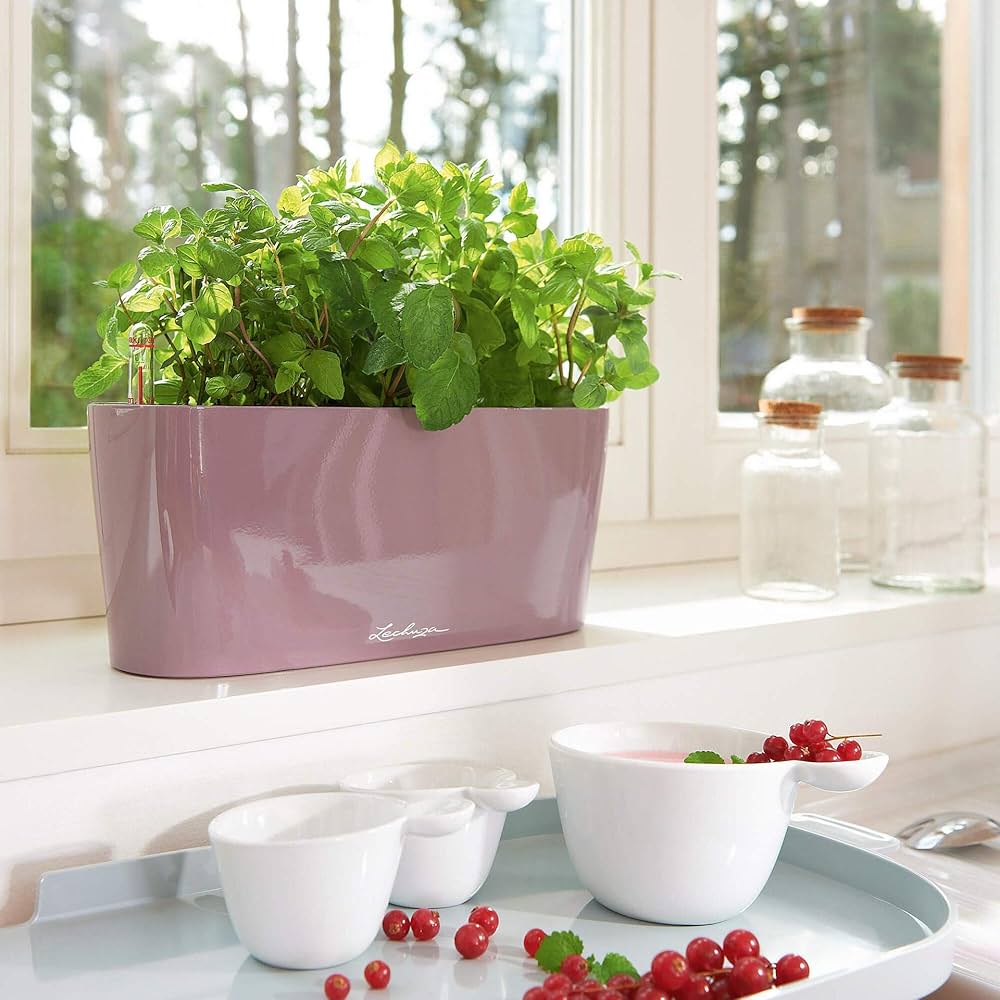 LECHUZA Self Watering Plant Pots Indoor DELTA 10 Polypropylene