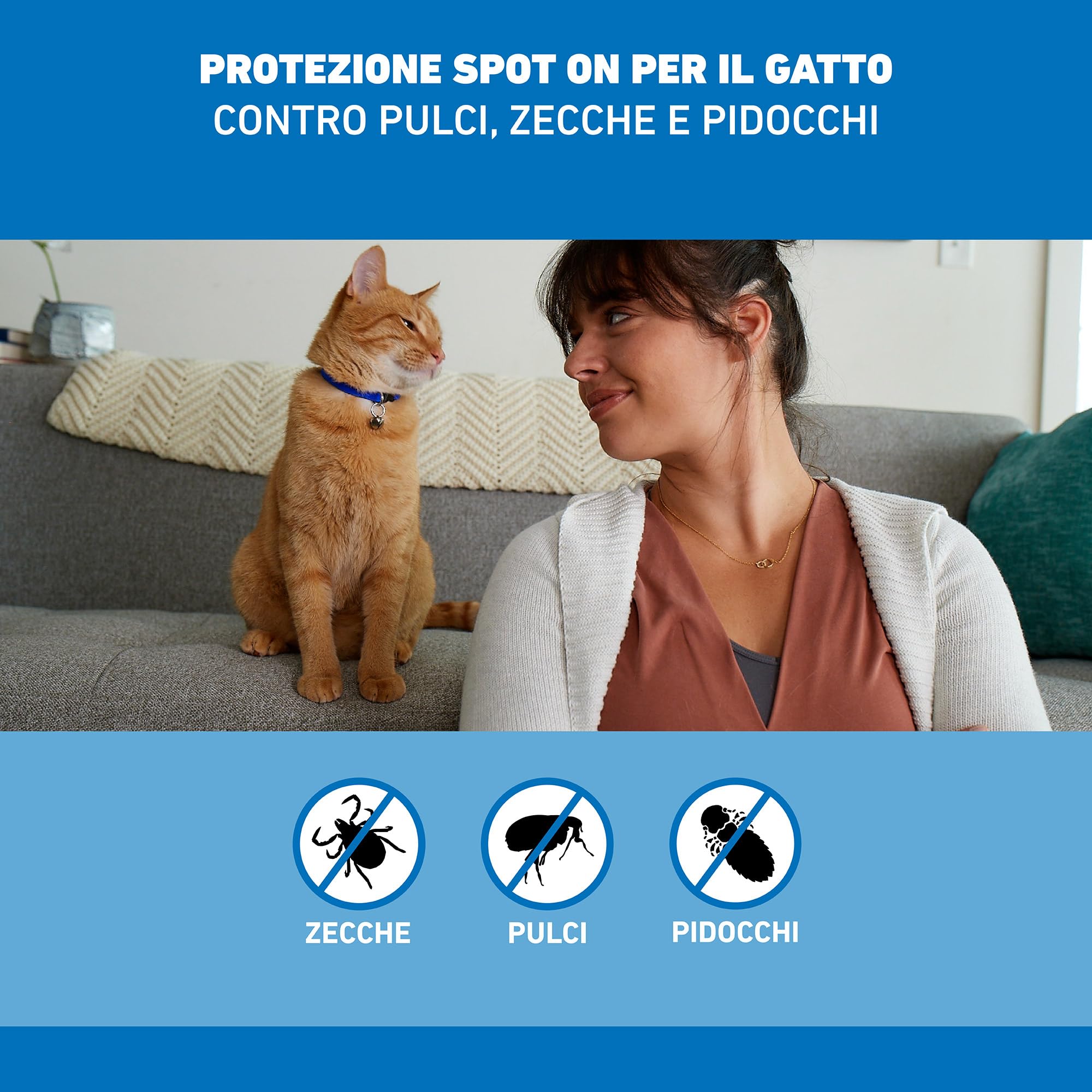 FRONTLINE FRONTLINE Spot On 6 Pipettes, Cats, Long Lasting Pesticide for Cats and Kittens, Protects Against Ticks, Fleas and Lice, Flea Repellent in Pack of 6 Pipettes 1 ml in use