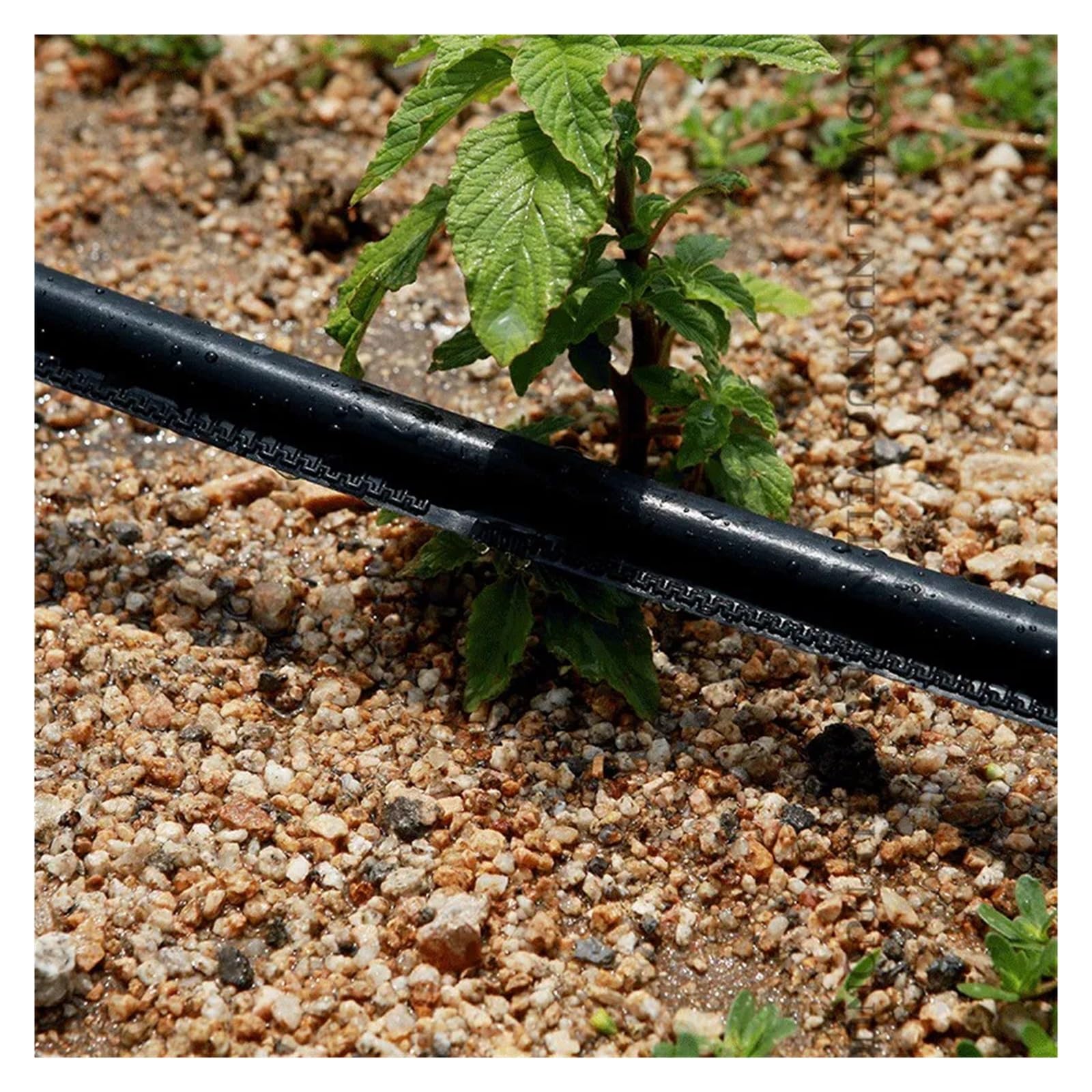 Manguera de jardín Extensible, Cinta de riego por Goteo agrícola, Manguera de riego para Plantas de jardín, Manguera de riego laberíntica de una Sola ala para invernaderos (500 m)