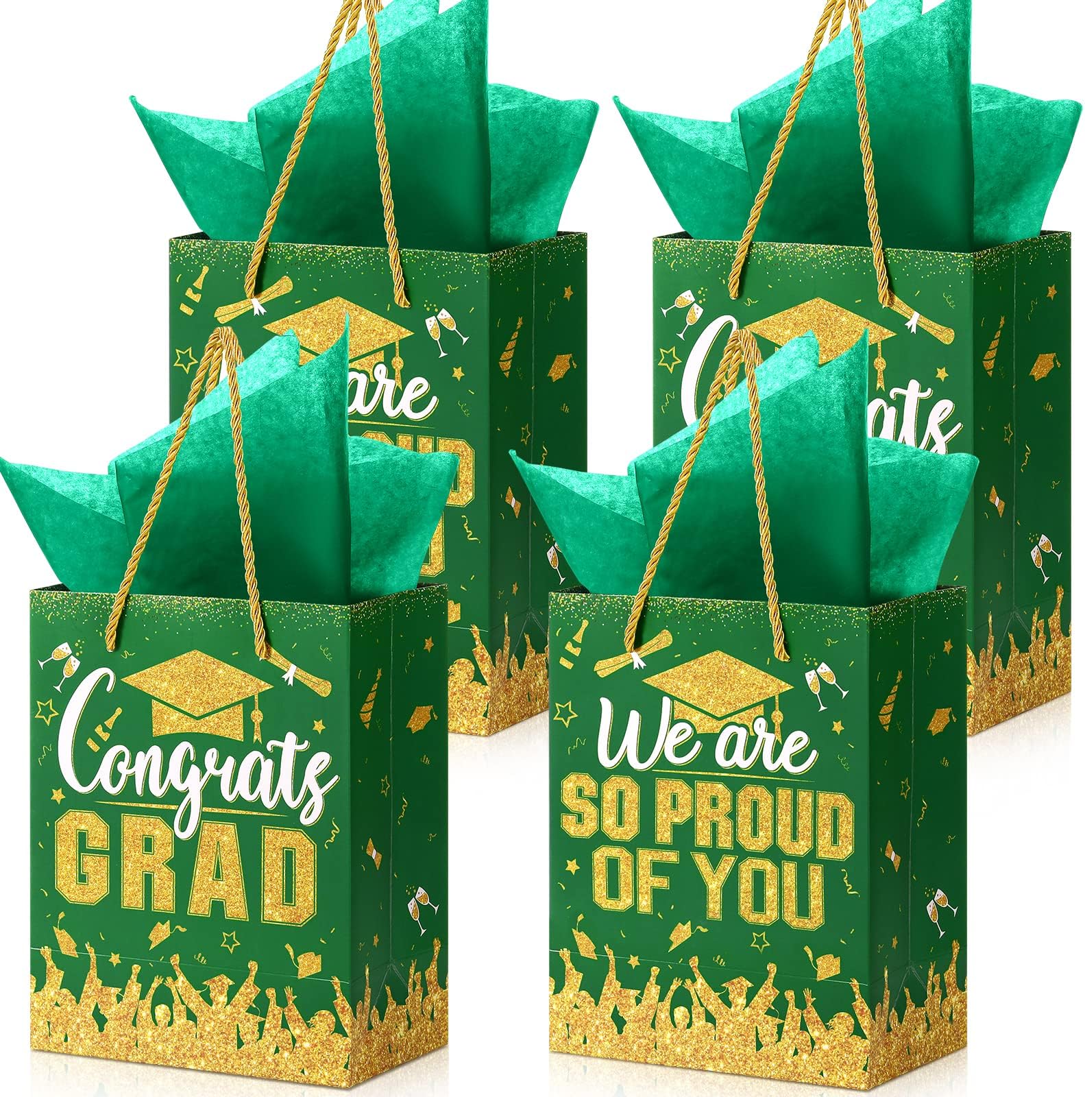 TaoBary 12 Pcs Graduation Gift Bags with Tissue Paper