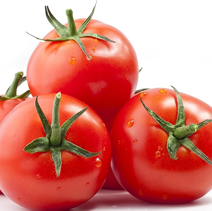 Jobe's Spikes Fertilizante para Tomates, 18 Unidades miniatura 7