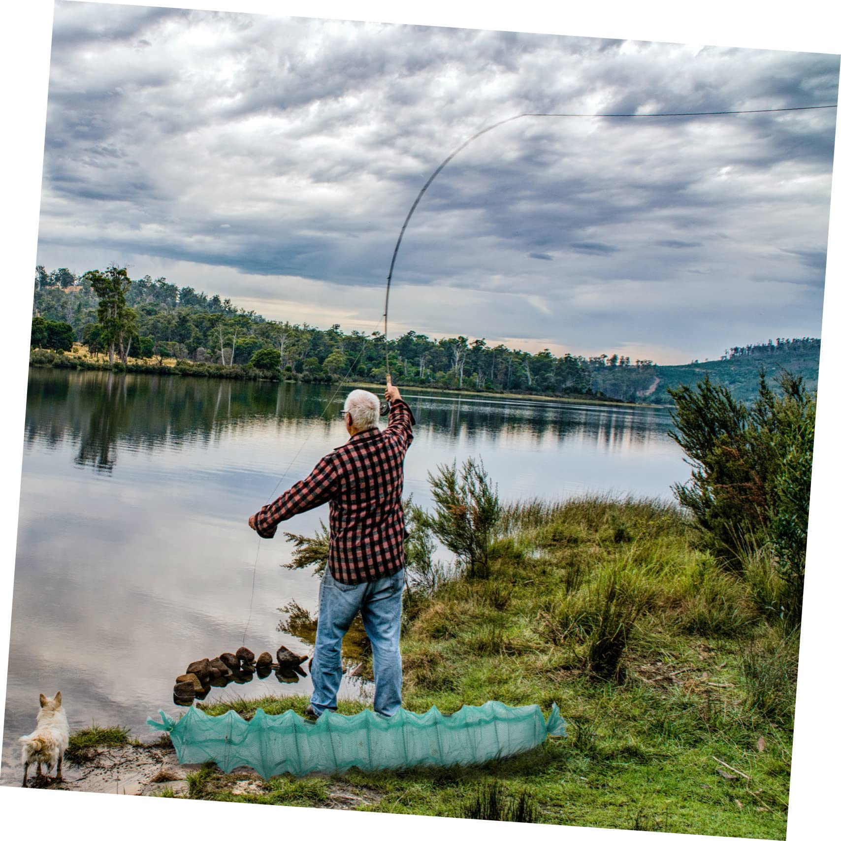 ibasenice Dispositivo per Pesca Portatile in Nailon e Ferro, Rete Multifunzione per Acchiappare Granchi e Rettili, Set 2 Unità per Pesca Esca