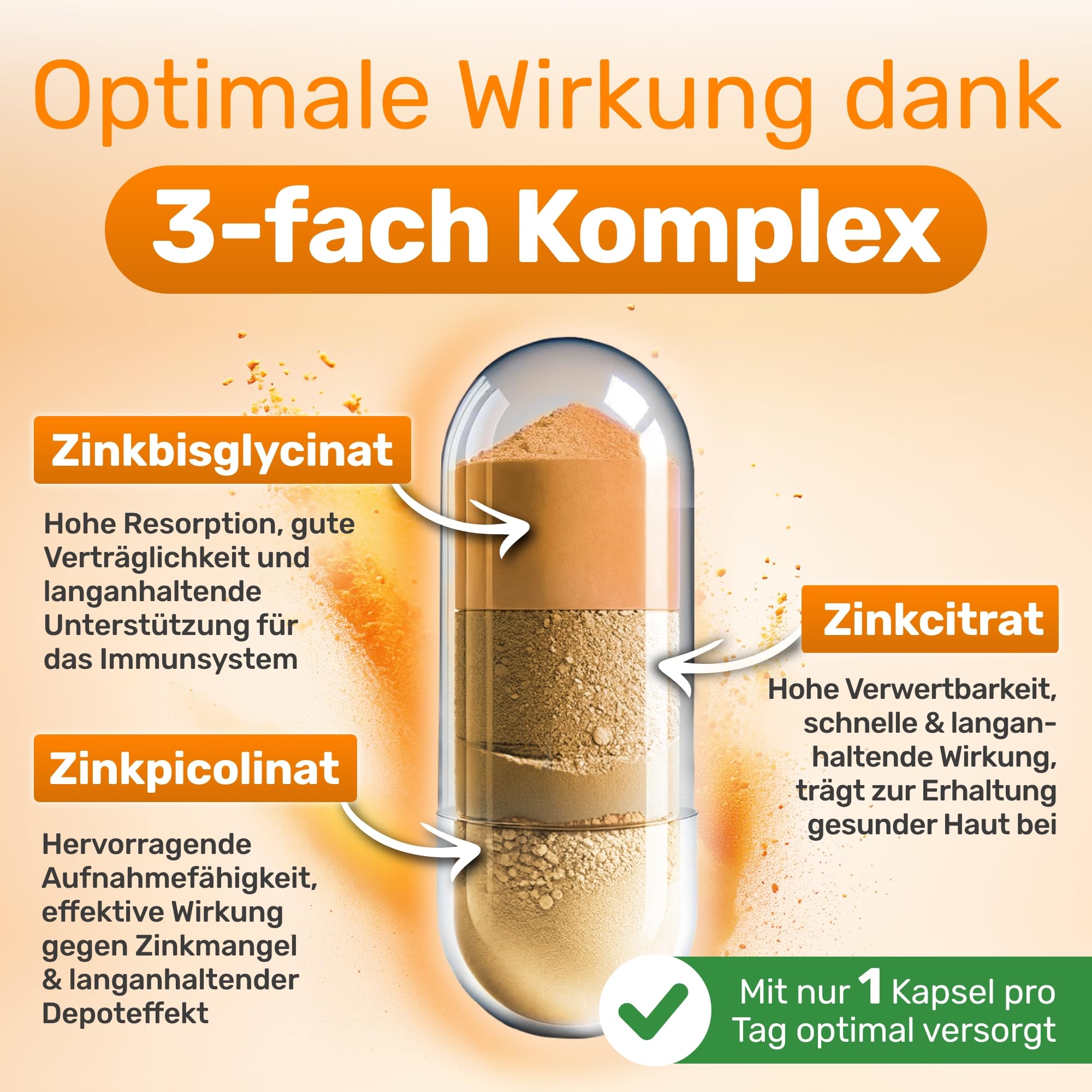 Glycowohl Zink Komplex 25 mg – 3 Zinkformen – 120 Kapseln | 10 mg Bisglycinat, 10 mg Citrat & 5 mg Picolinat (= 25 mg Zink) · Für die Dauerversorgung · Nur 1 Kapsel täglich