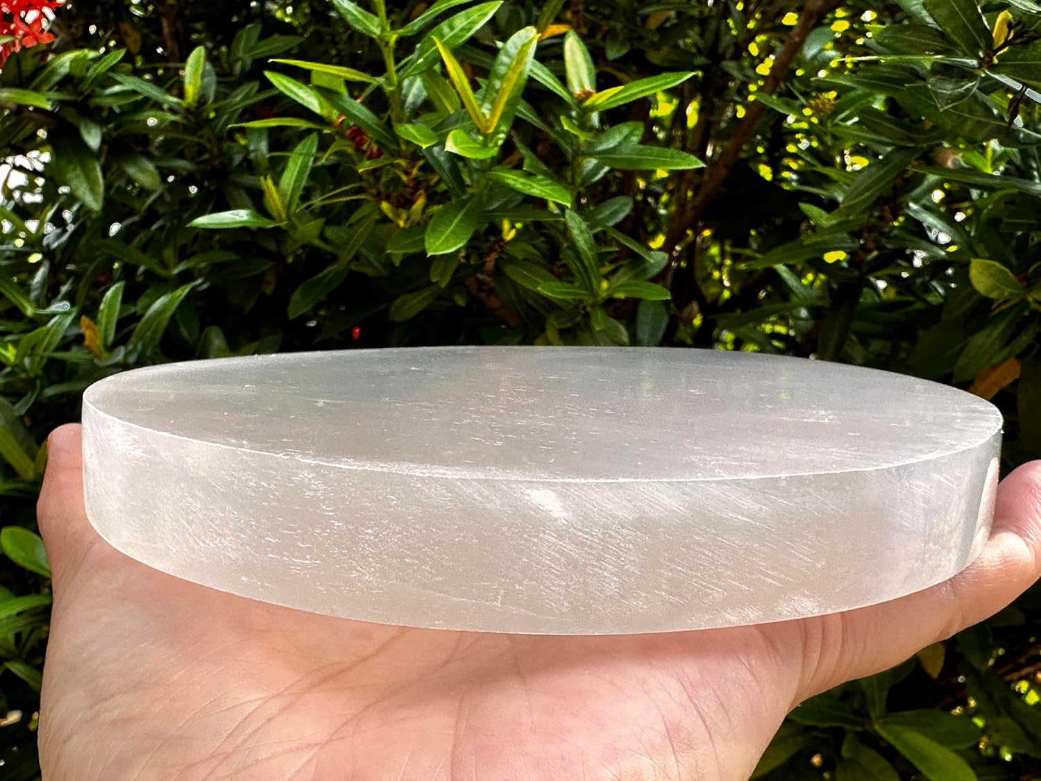 GAF TREASURES Large Selenite Circle Charing Plate, 6" Selenite Charging Station for Crystal Cleansing, Crystal Grib Layout, Energy Charging& Purification (Two Plates)