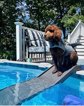 PetStep Dog Ramp للتجمعات Long Legs، Graphite / Gray