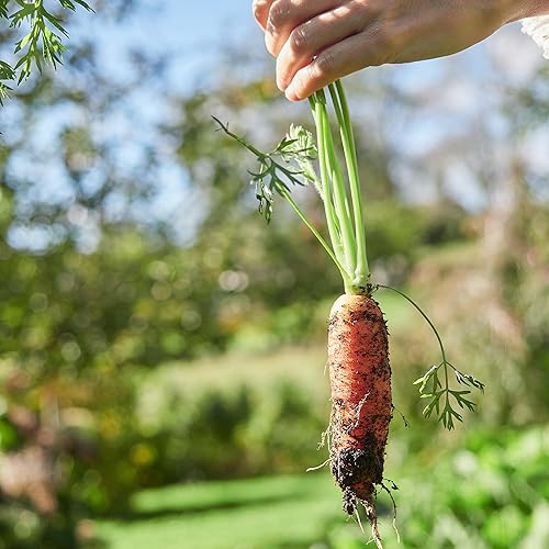 Miniatura 6 de Earthborn Elements Sulfato de amonio 1 galón aditivo de suelo fuente de nitrógeno