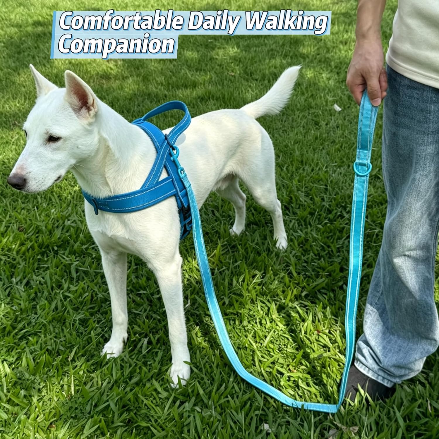 Premium Nylon Dog Leash, 5 FT Dog Lead with Soft Padded Handle, Durable Metal Swivel Clasp & D-Ring, Comfortable Walking Running Training Leash for Small Medium Large Dogs (Blue L) image 2
