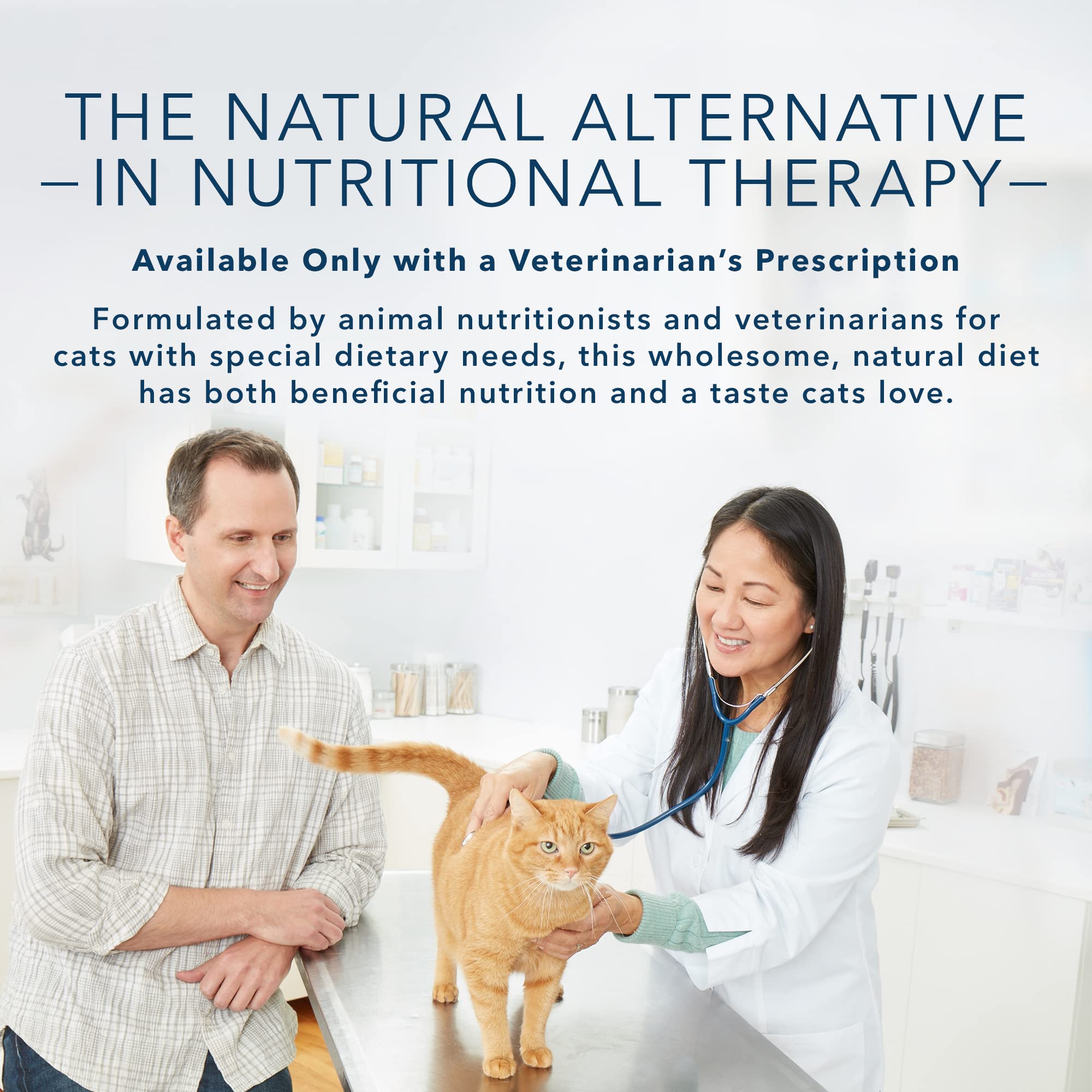 Blue Buffalo Natural Veterinary Diet K+M Kidney + Mobility Support Dry