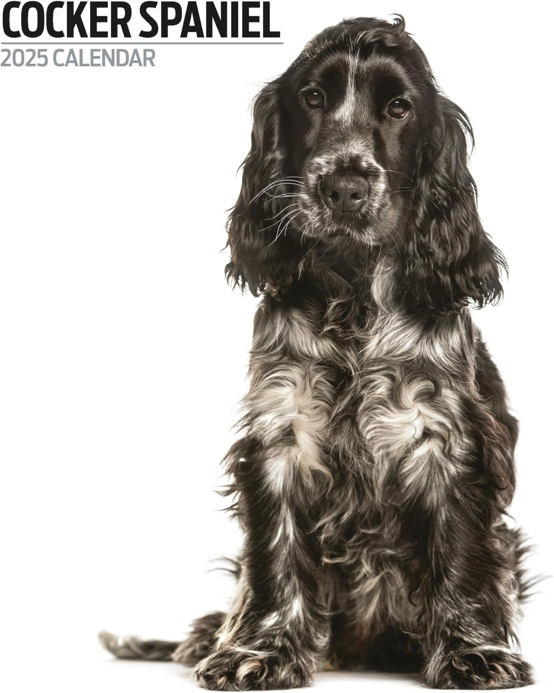 Calendrier Liturgique Détaillé "Magnificat