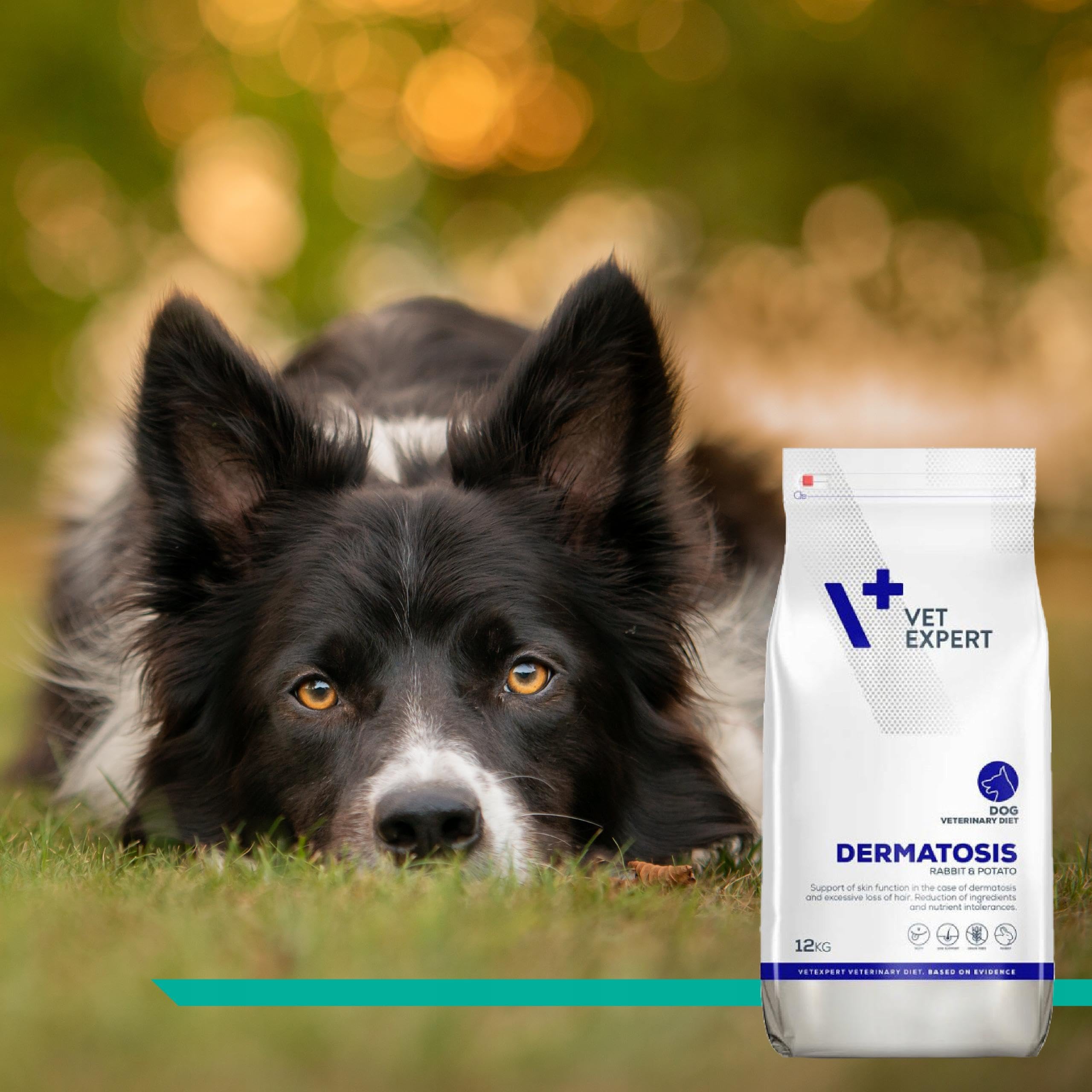 VET EXPERT DERMATOSIS DOG RABBIT & POTATO 12 kg - sucha karma weterynaryjna dla psów z zaburzeniami dermatologicznymi oraz z nietolerancją pokarmową