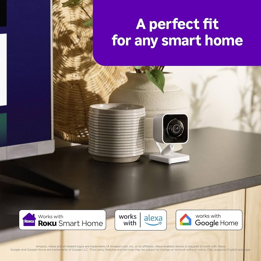 Roku Indoor Camera SE App Interface