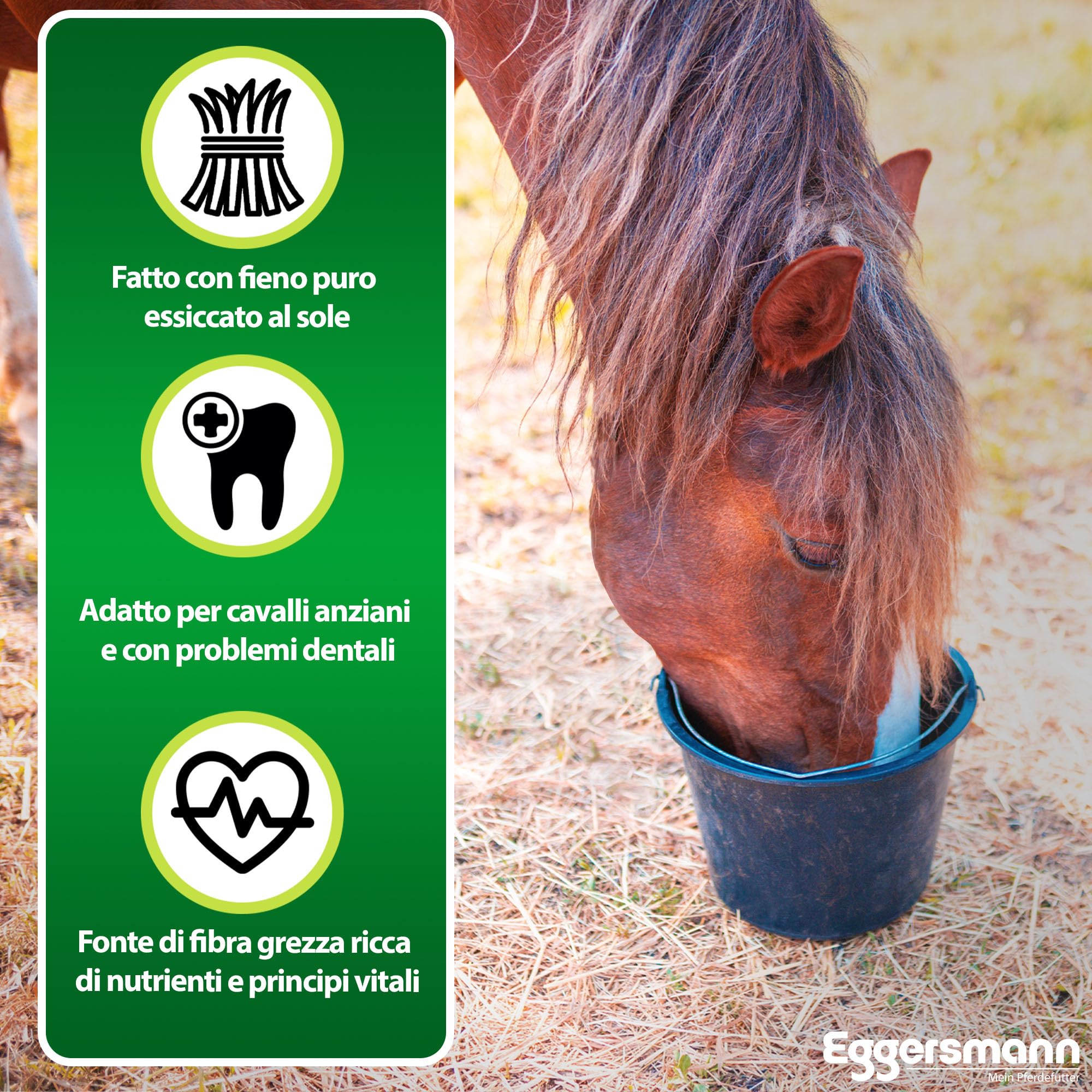 Eggersmann Mein Pferdefutter EMH - Fieno cubes da 20 kg – Mangime grezzo in fieno essiccato al sole ideale come ricambio completo per cavalli e pony, ideale per problemi dentali, produzione tedesca