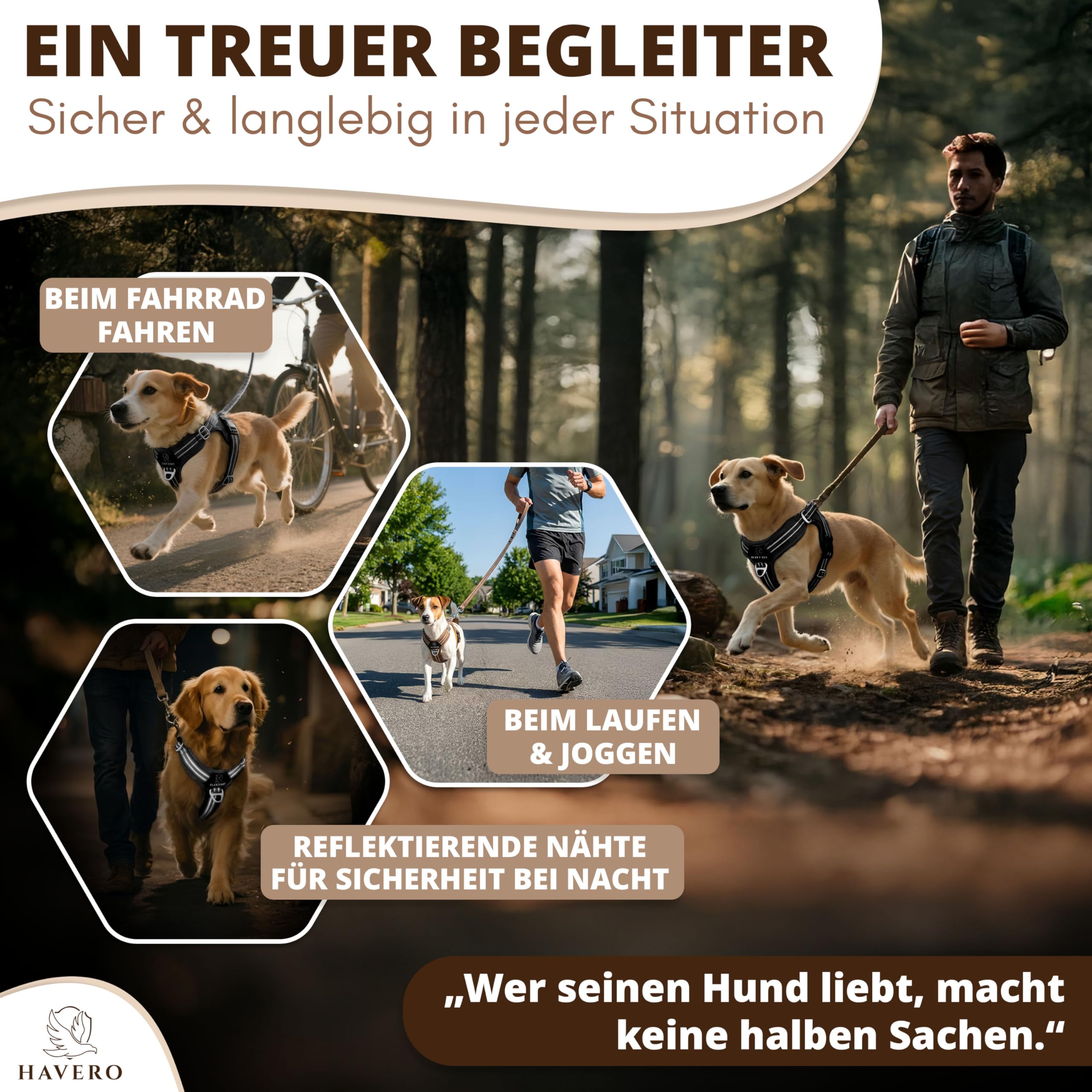 Hundegeschirr Easy-On-Clip – [Kein Überkopfziehen] | Anti-Zug Y-Geschirr Gepolstert Reflektierend Atmungsaktiv Brustgeschirr – kleine, mittelgroße & Grosse Hunde Geschirr (Schwarz, M)