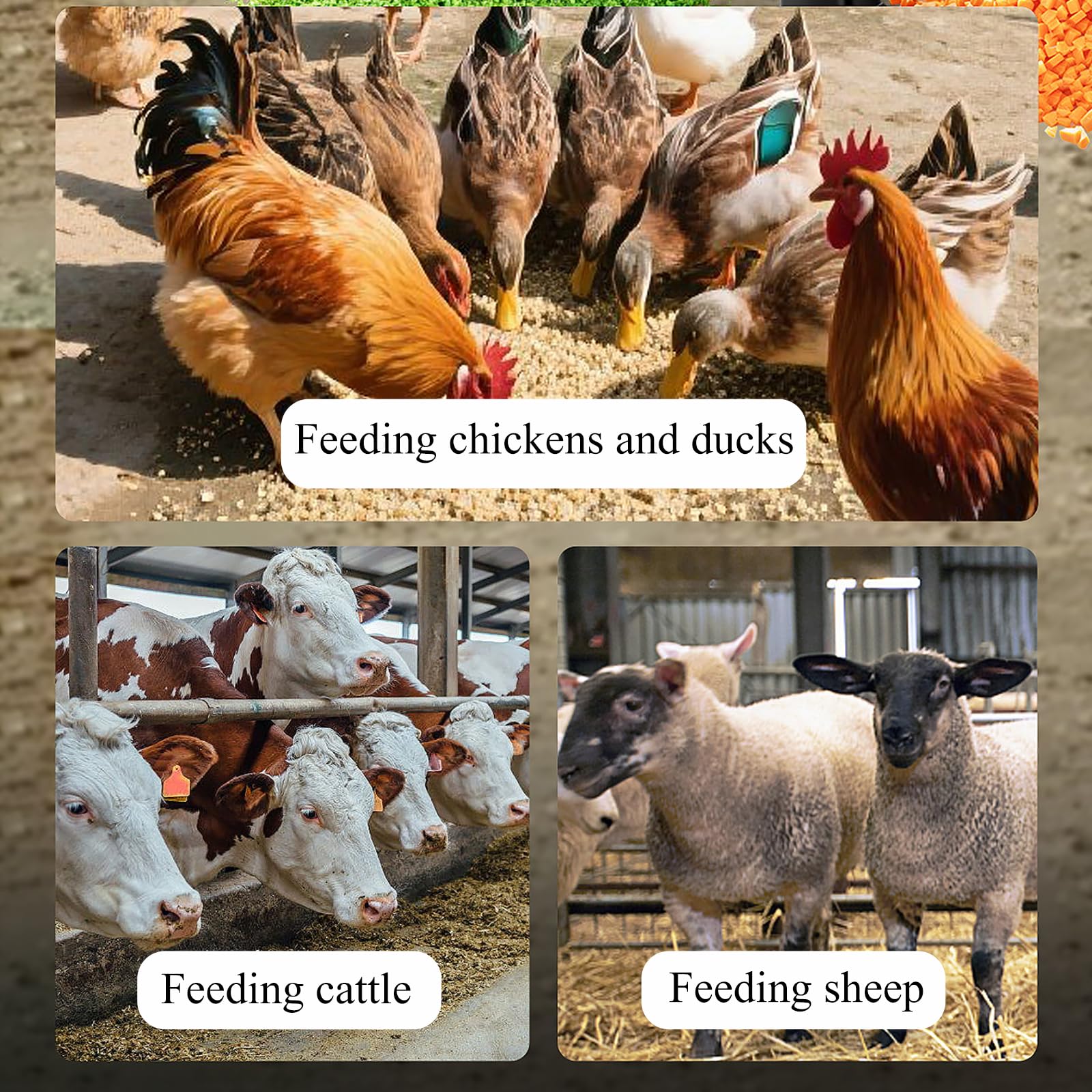 Cortadora De Heno Eléctrica, Trituradora De Forraje para Pollos, Patos, Cerdos Y Ganado Vacuno, con Grosor Ajustable, Corta El Heno En Cubos, Rodajas Y Trozos, para Granjas Y Gallineros.