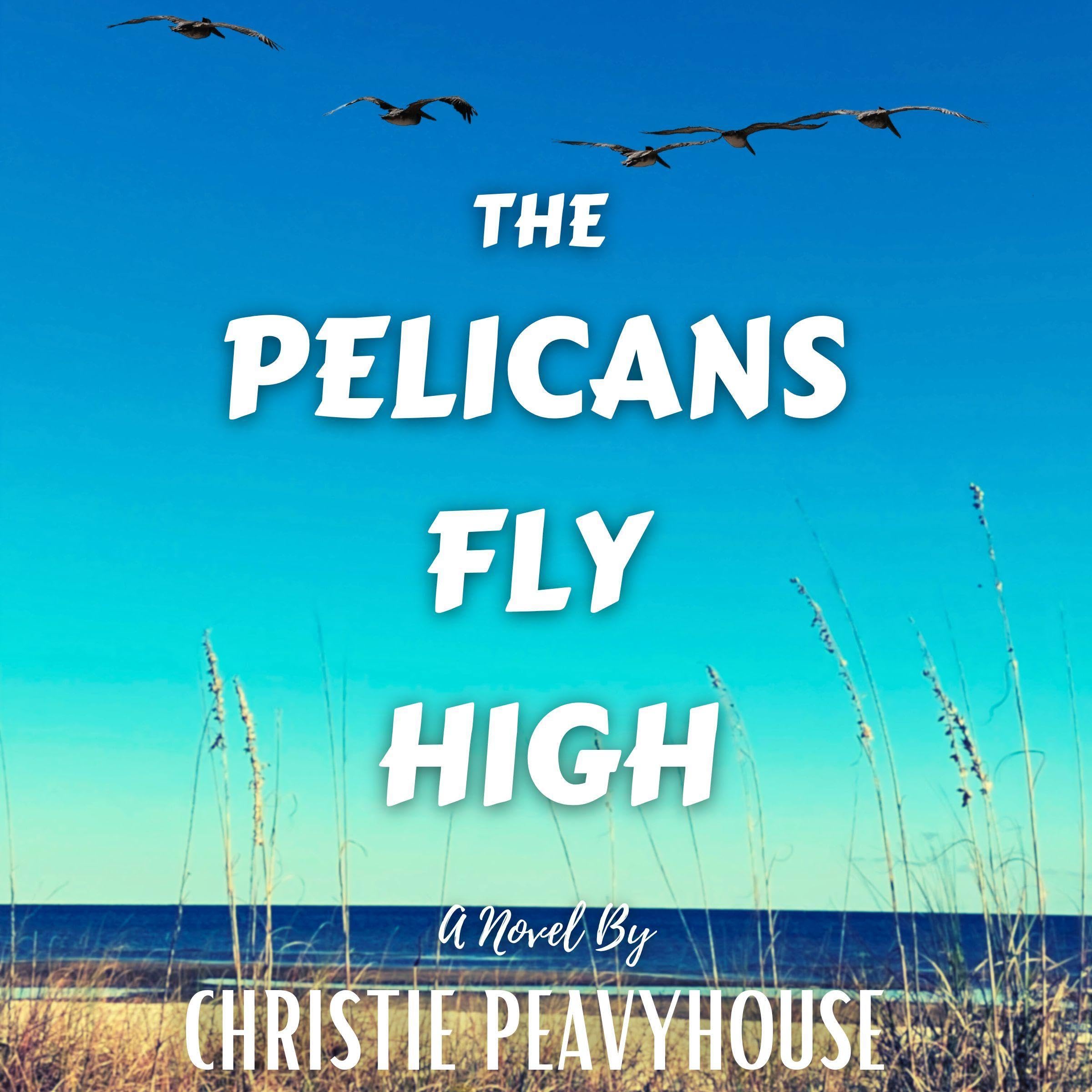 Cover art for The Pelicans Fly High
