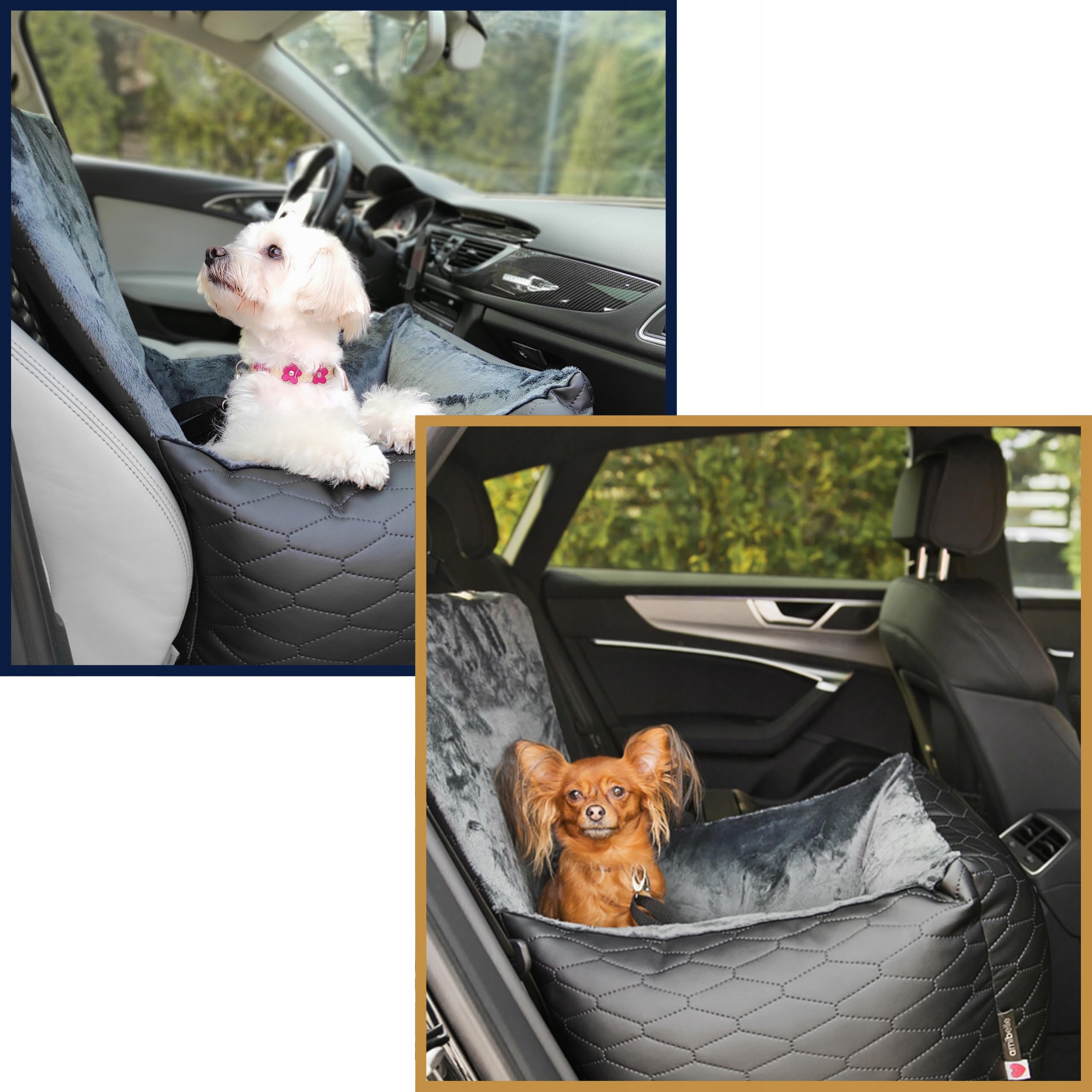 Hunde Autositz 50x50 cm Schwarz - 2in1 Sitz für Hund und Katze