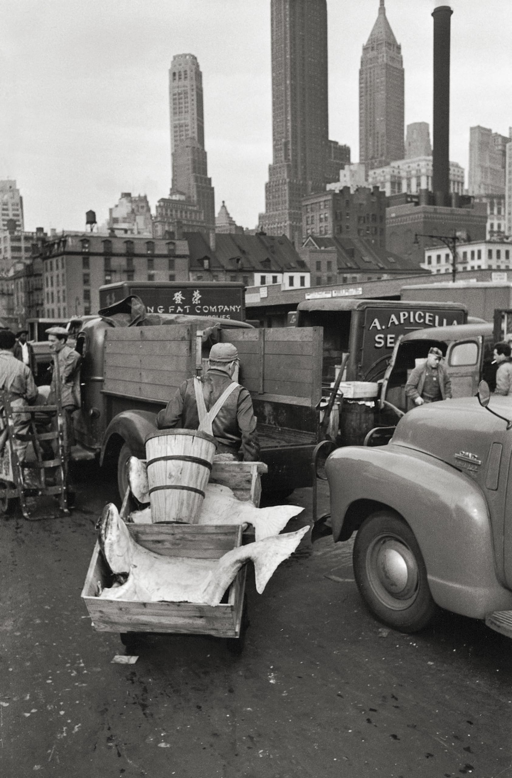 Elliott Erwitt' New York: Revised Edition