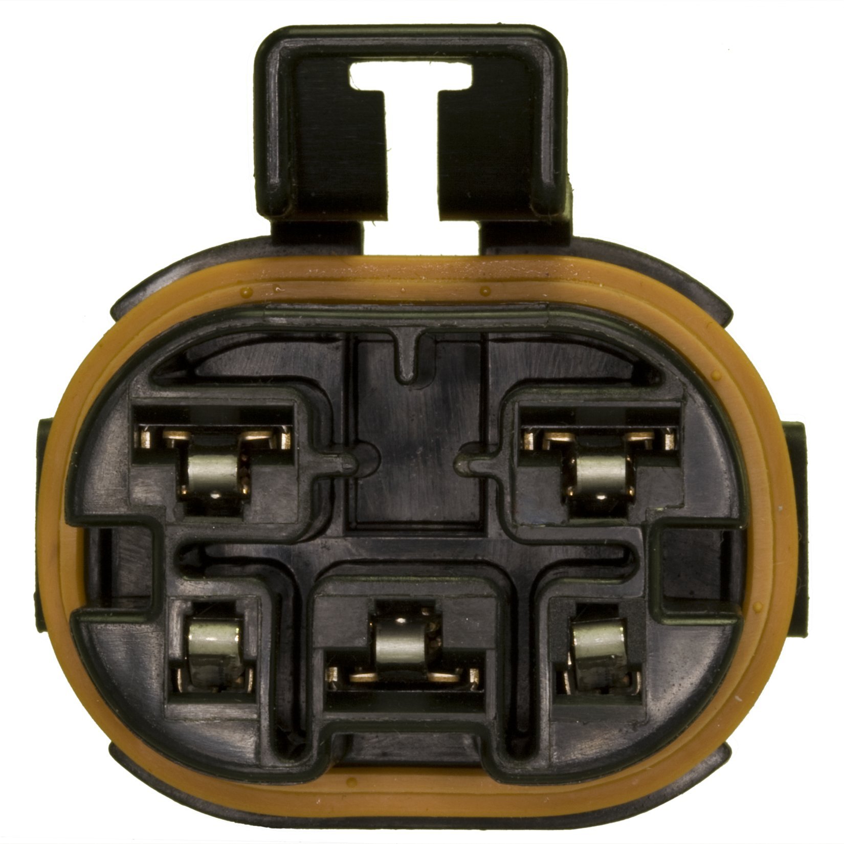 Amazon.com: WVE by NTK 1P1272 Fuel Pump Relay Connector, 1 Pack  