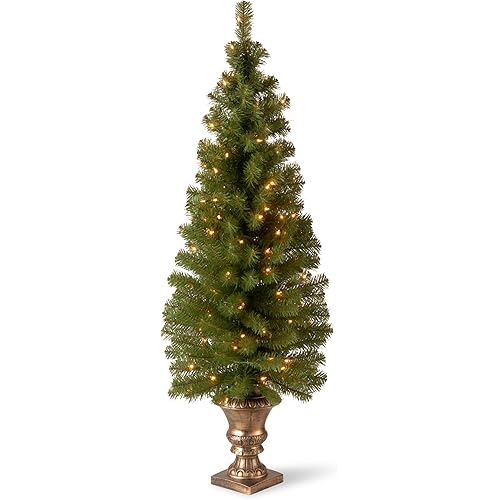 National Tree Company Pre-lit Artificial Christmas Tree For Entrances | Includes Pre-strung White Lights and Stand | Montclair Spruce - 5 ft