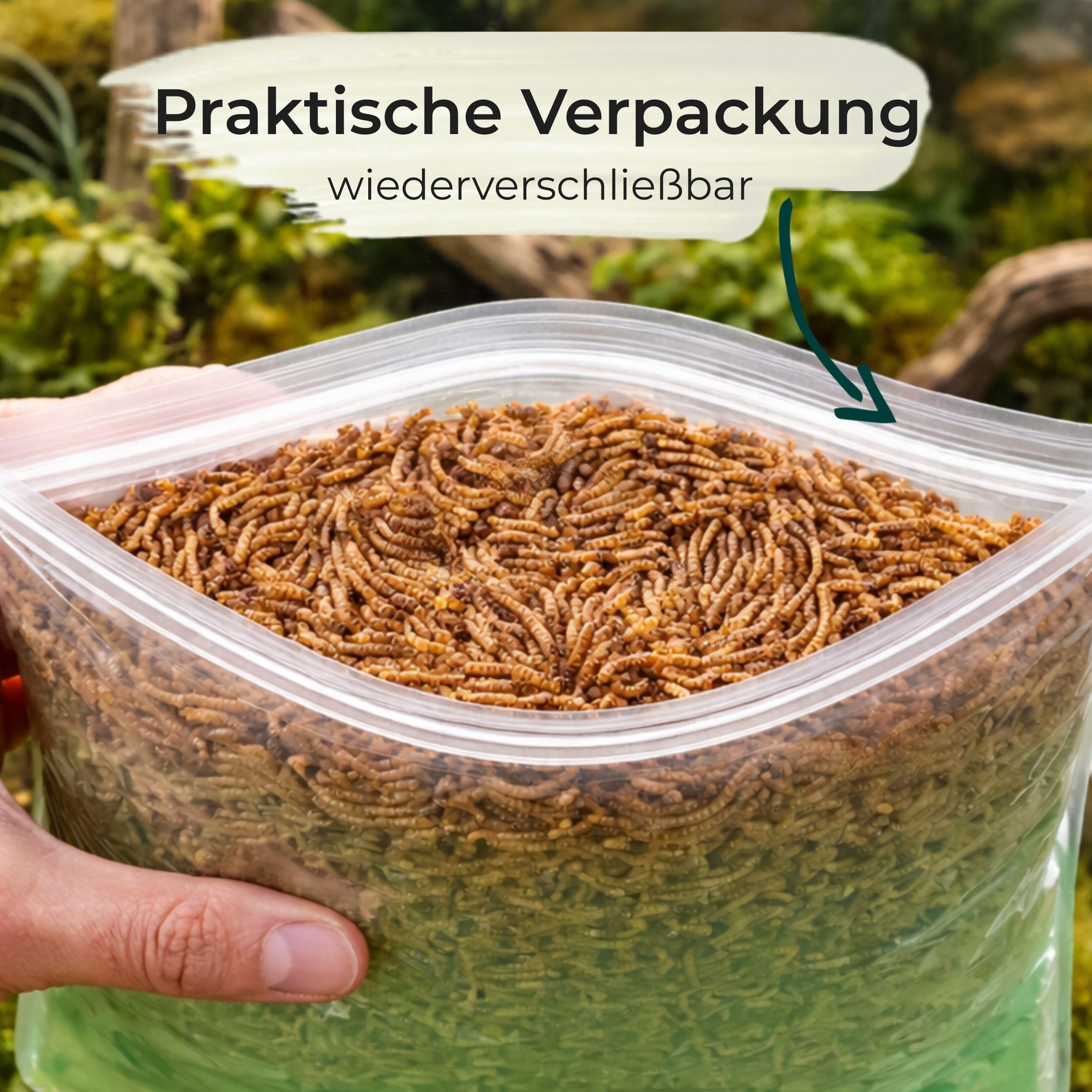 Mehlwürmer getrocknet für Reptilien 20kg - Premium-Qualität, Nahrhaftes Futter, Perfekt für eine Vielzahl von Amphibien, Schildkrötenfutter, Fischfutter Teich & Aquarium, wiederverschließbarer Beutel
