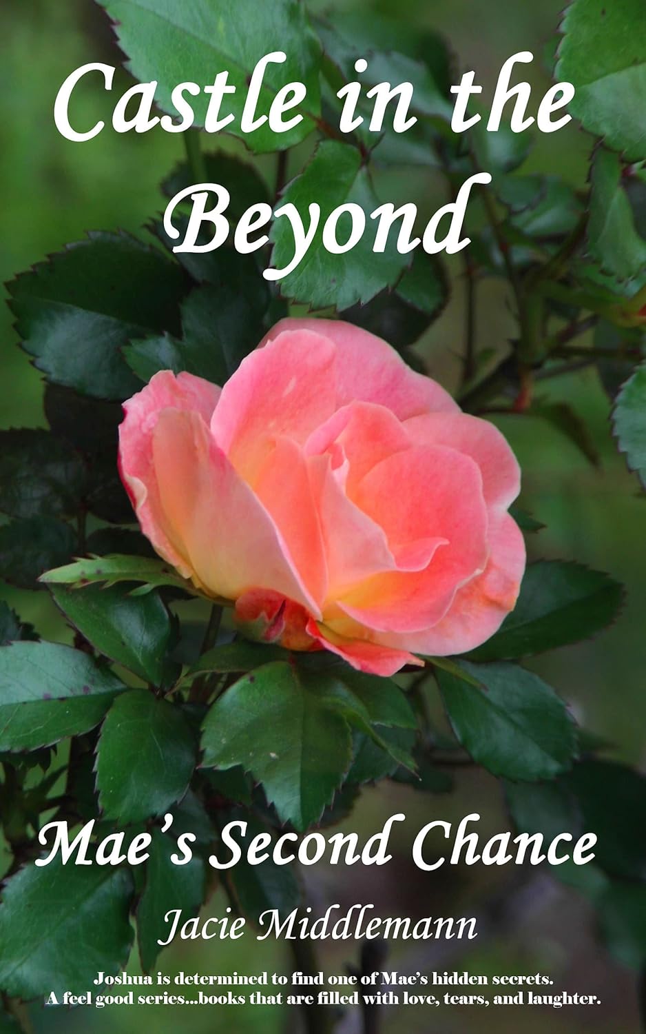 Castle in the Beyond: Joshua is determined to find one of Mae’s hidden secrets. A feel good series…books that are filled with love, tears, and laughter. (Mae’s Second Chance Book 6) Castle in the Beyond: Joshua is determined to find one of Mae’s hidden secrets. A feel good series…books that are filled with love, tears, and laughter. (Mae’s Second Chance Book 6)